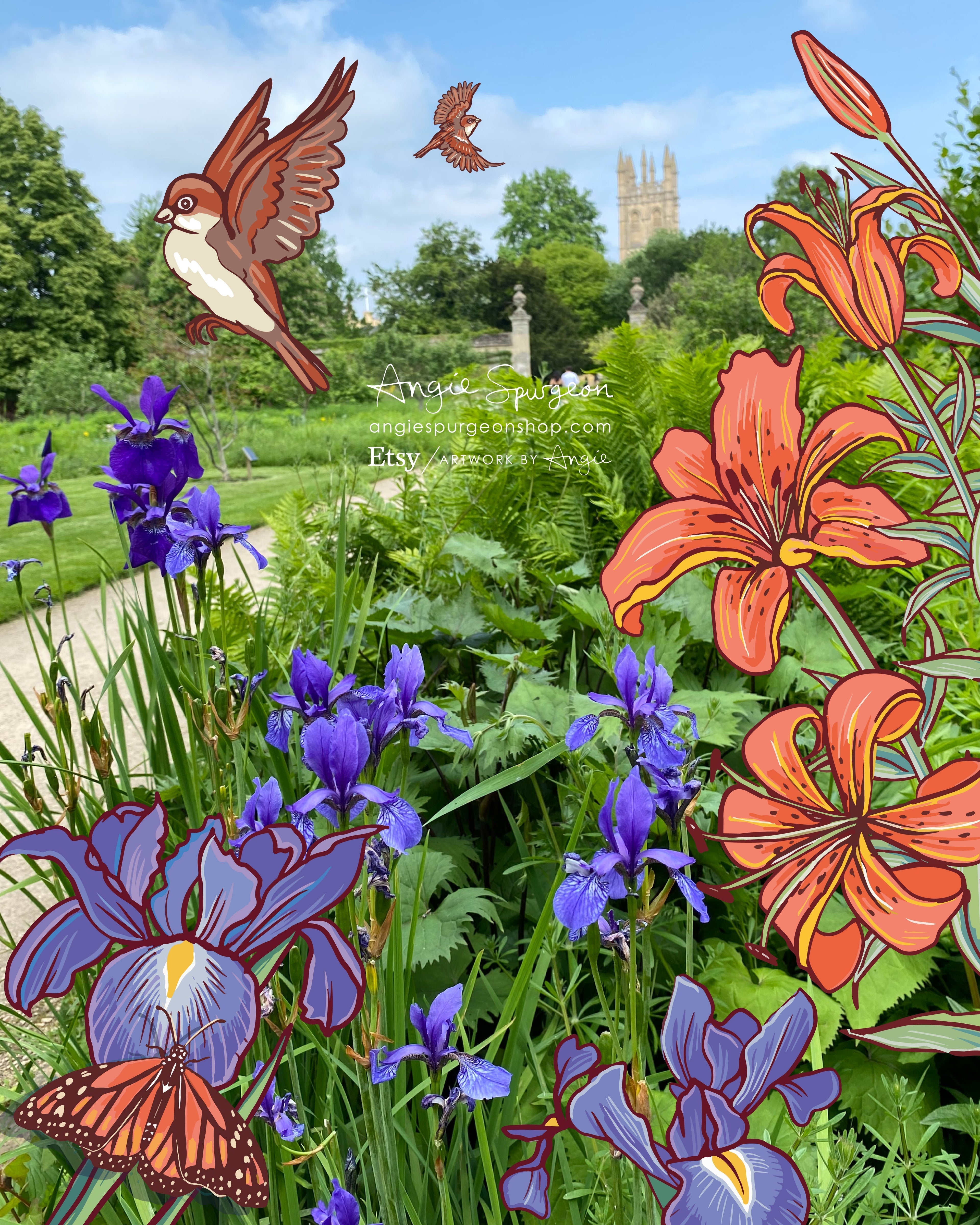 Let's Explore Some Botanical Gardens...