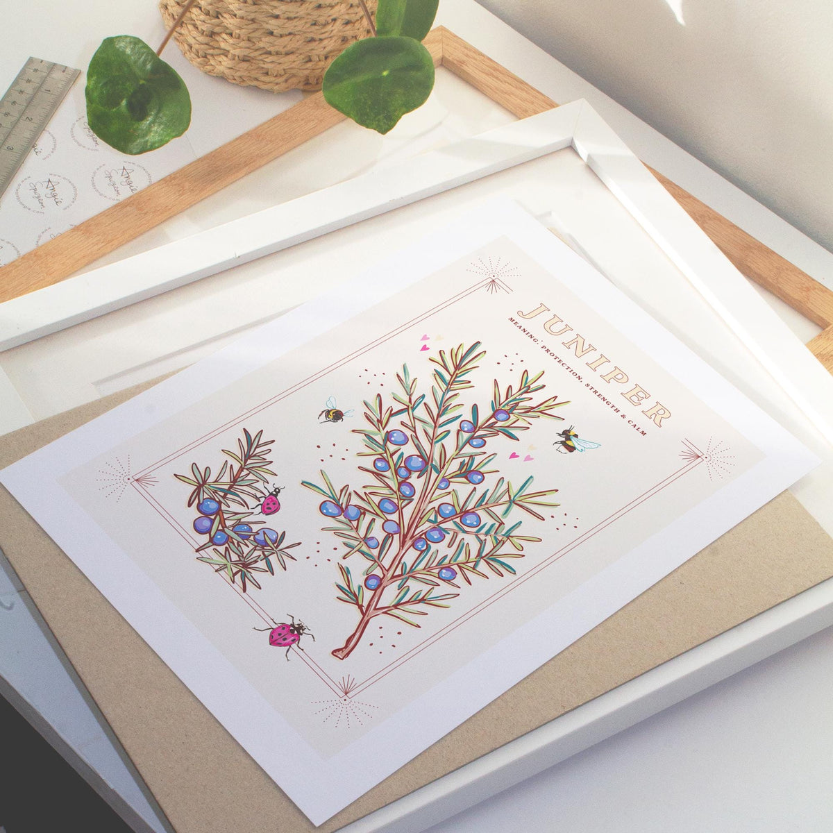 Juniper Wall Art Print, Plant Meaning Illustration Print