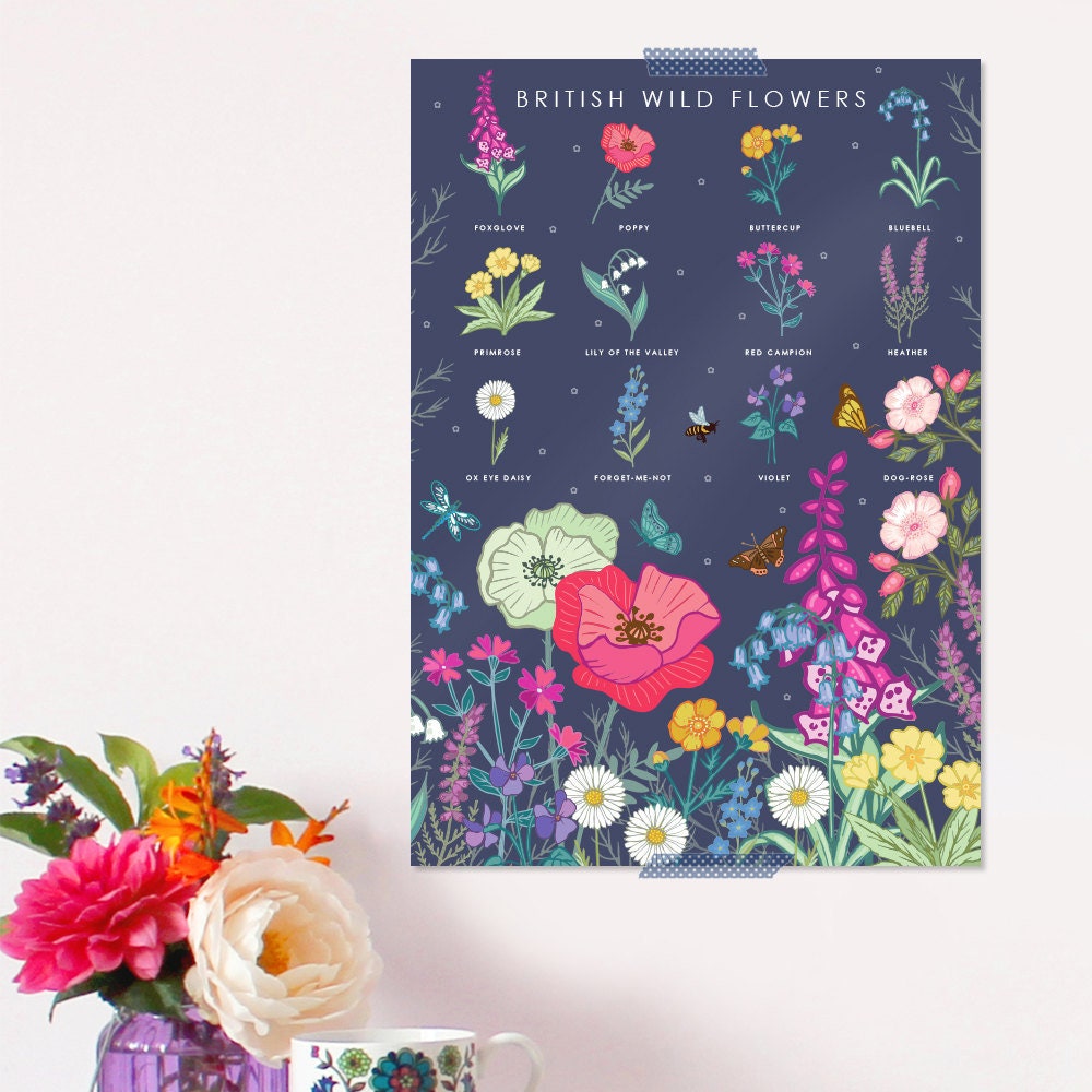 British Wildflowers Nature Guide Wall Art Print