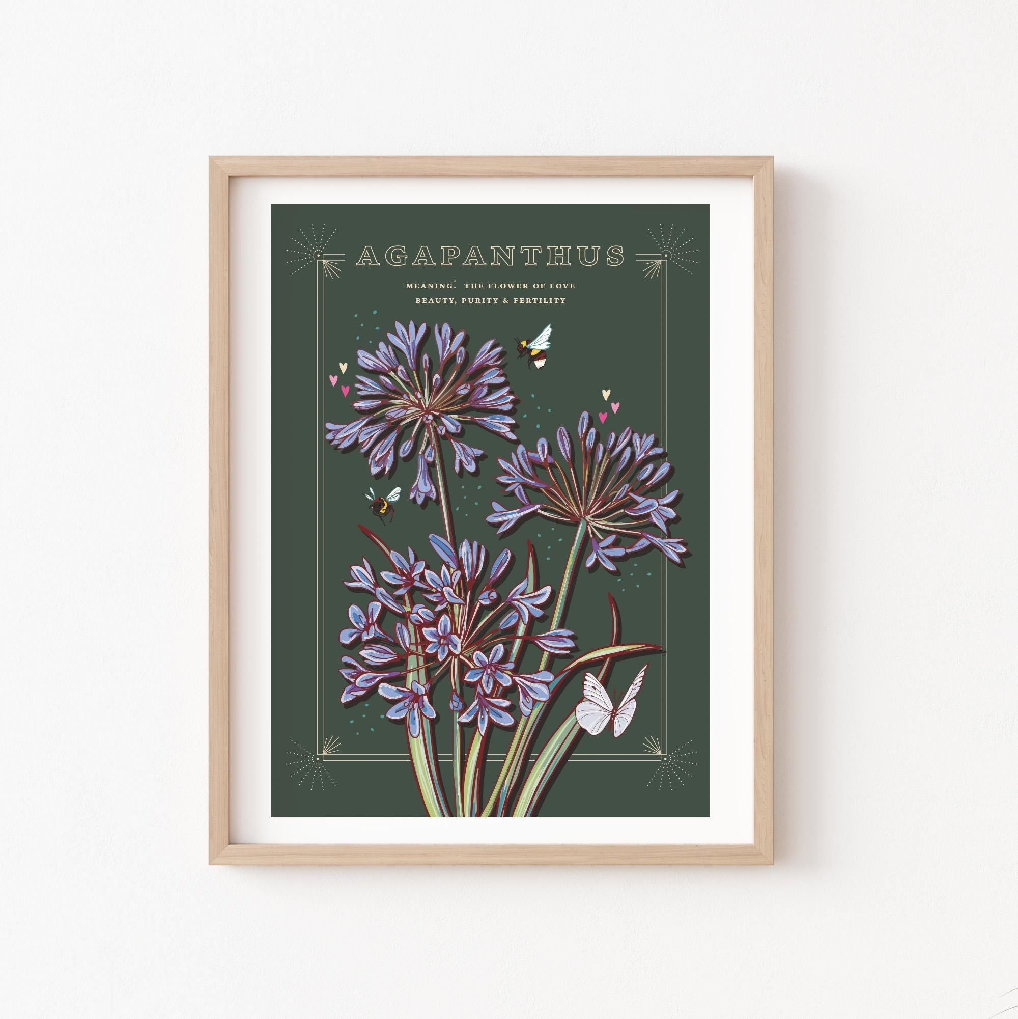 Agapanthus Wall Art Print, Flower Meaning Illustration Print