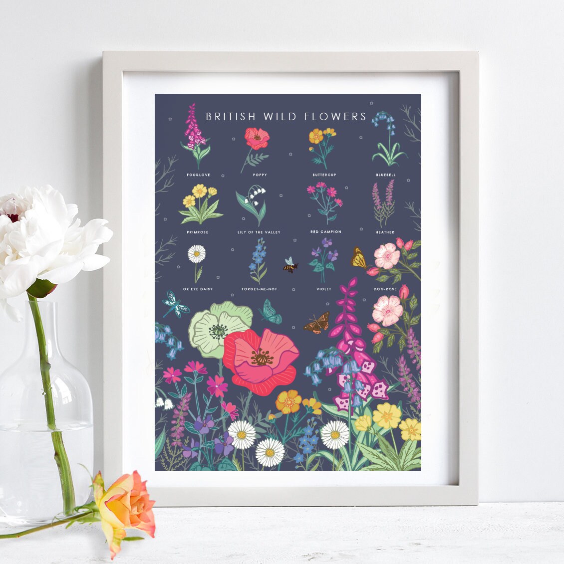 British Wildflowers Nature Guide Wall Art Print