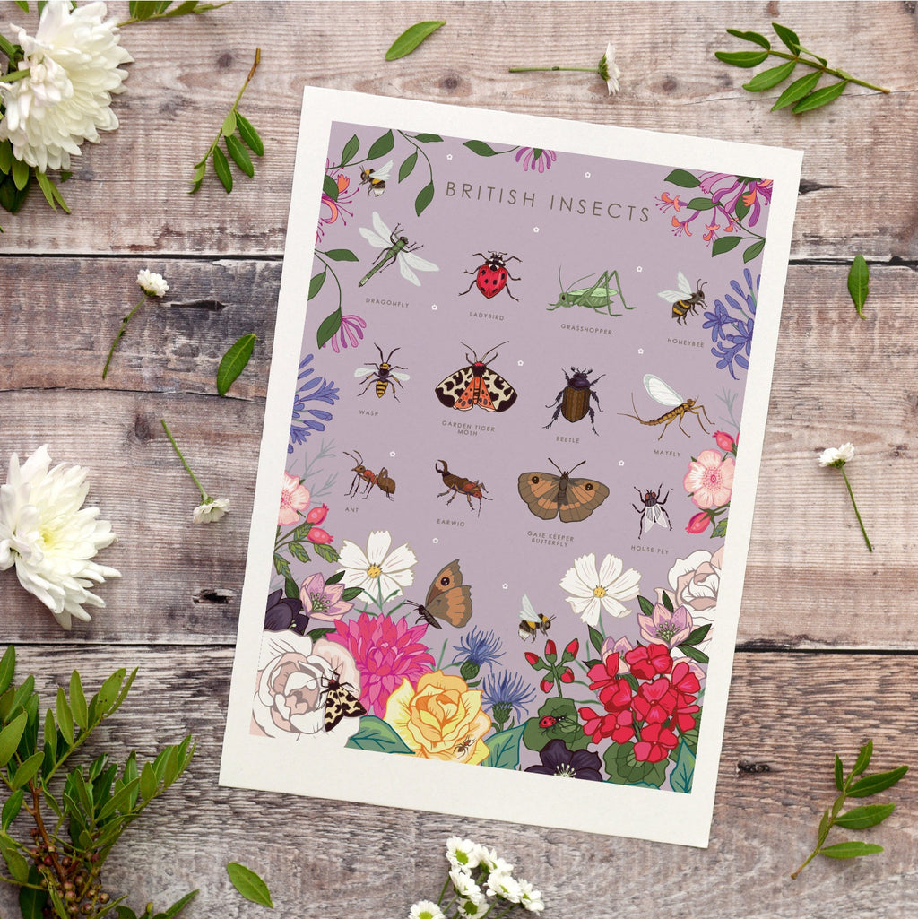 British Insects Nature Guide Wall Art Print