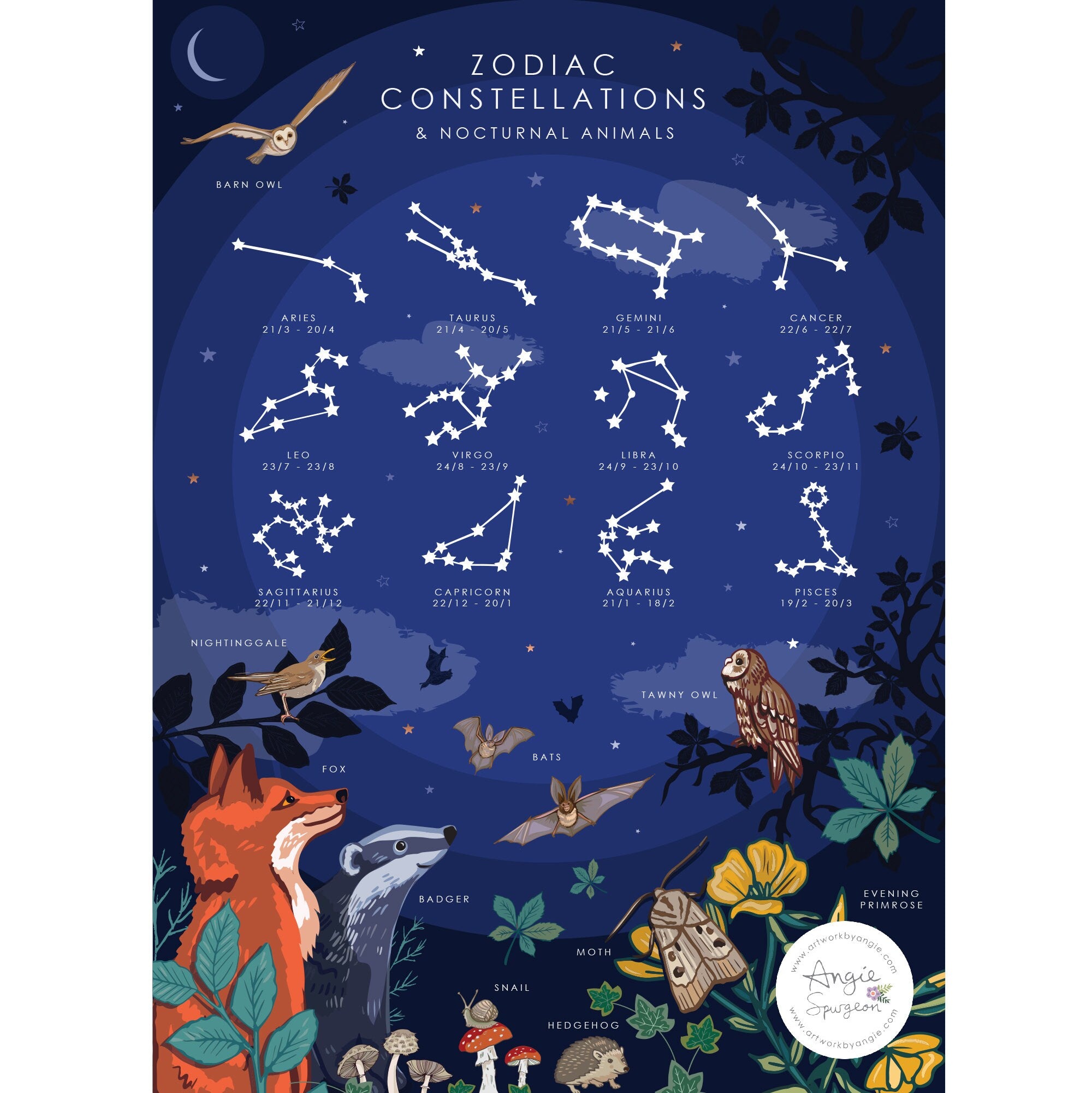 Zodiac Constellations Print and Nocturnal Animals Nature Guide Wall Art Print
