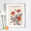 Marigold October Birth Flower Wall Art Print