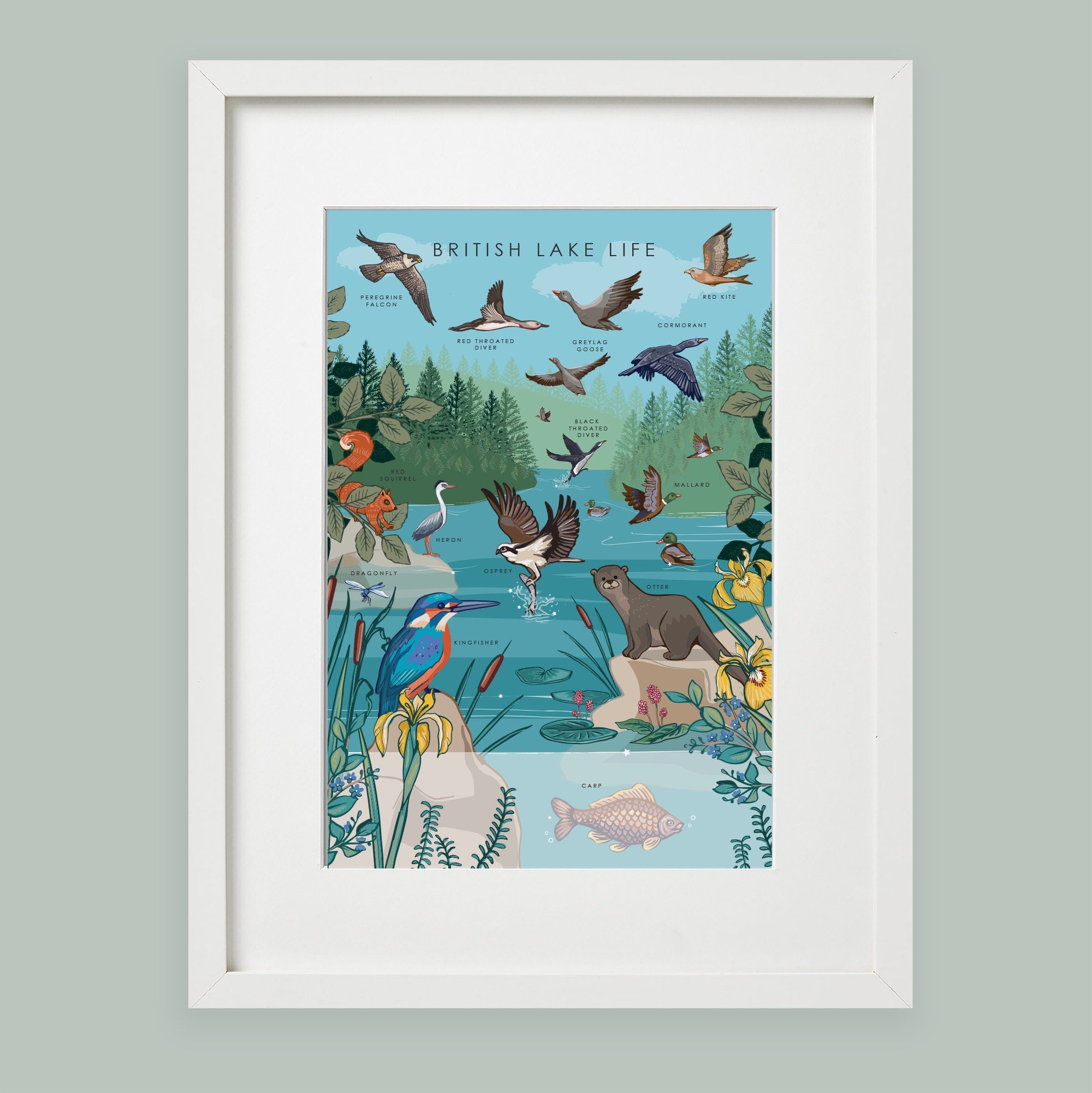 British Lake Wildlife Nature Guide Wall Art
