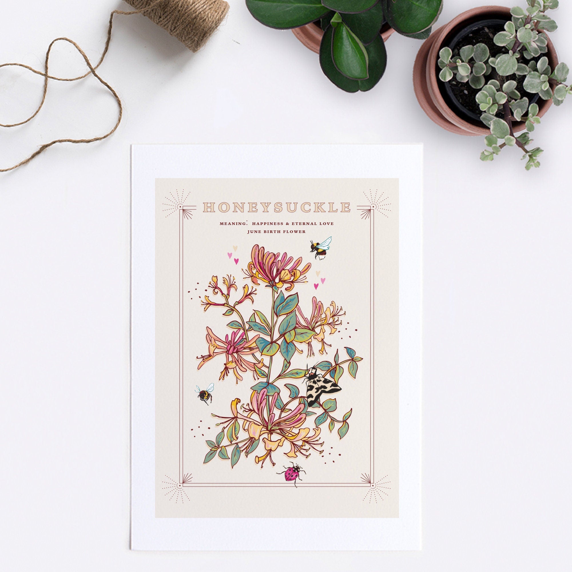 Honeysuckle June Birth Flower Wall Art Print