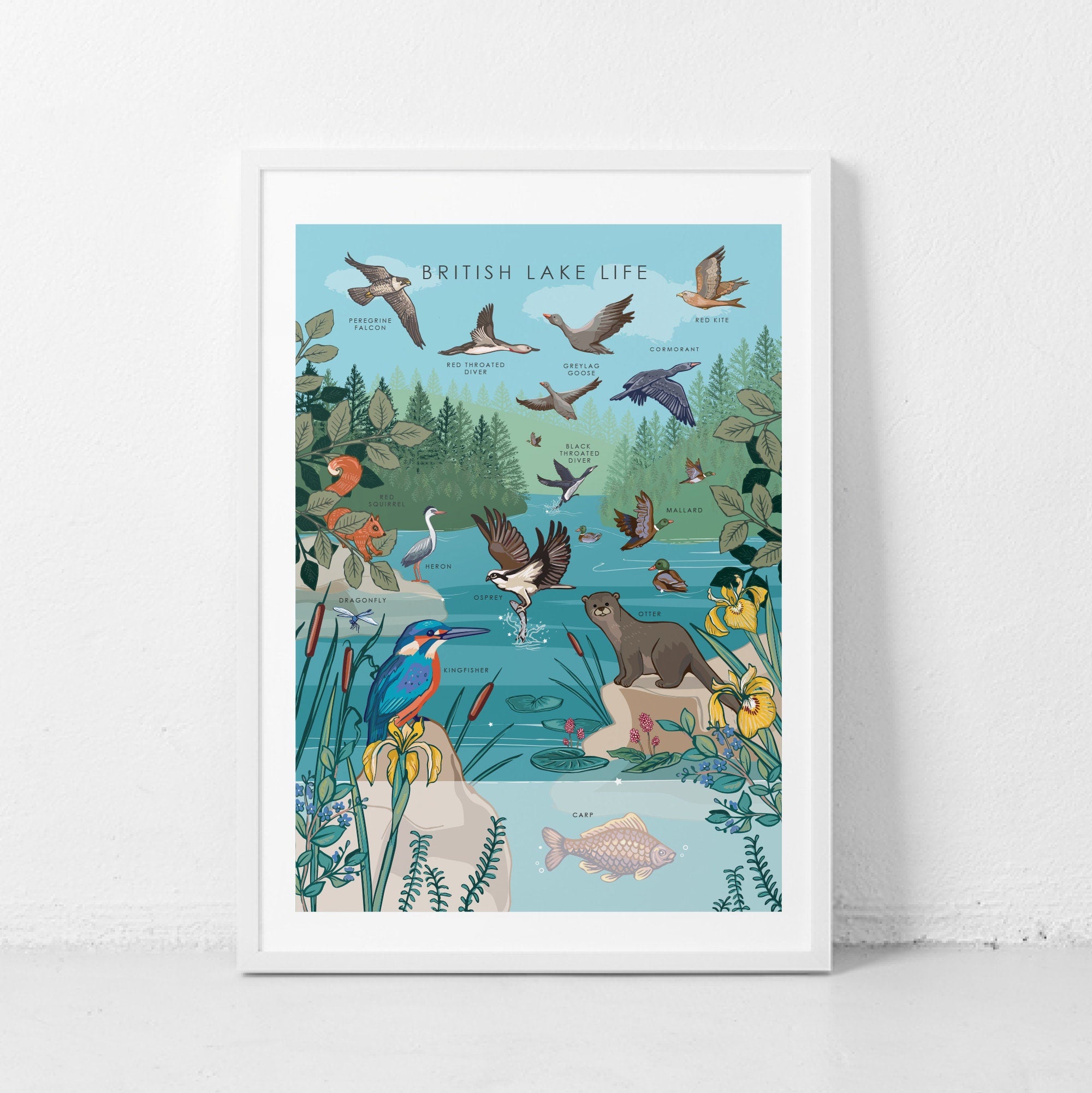 British Lake Wildlife Nature Guide Wall Art