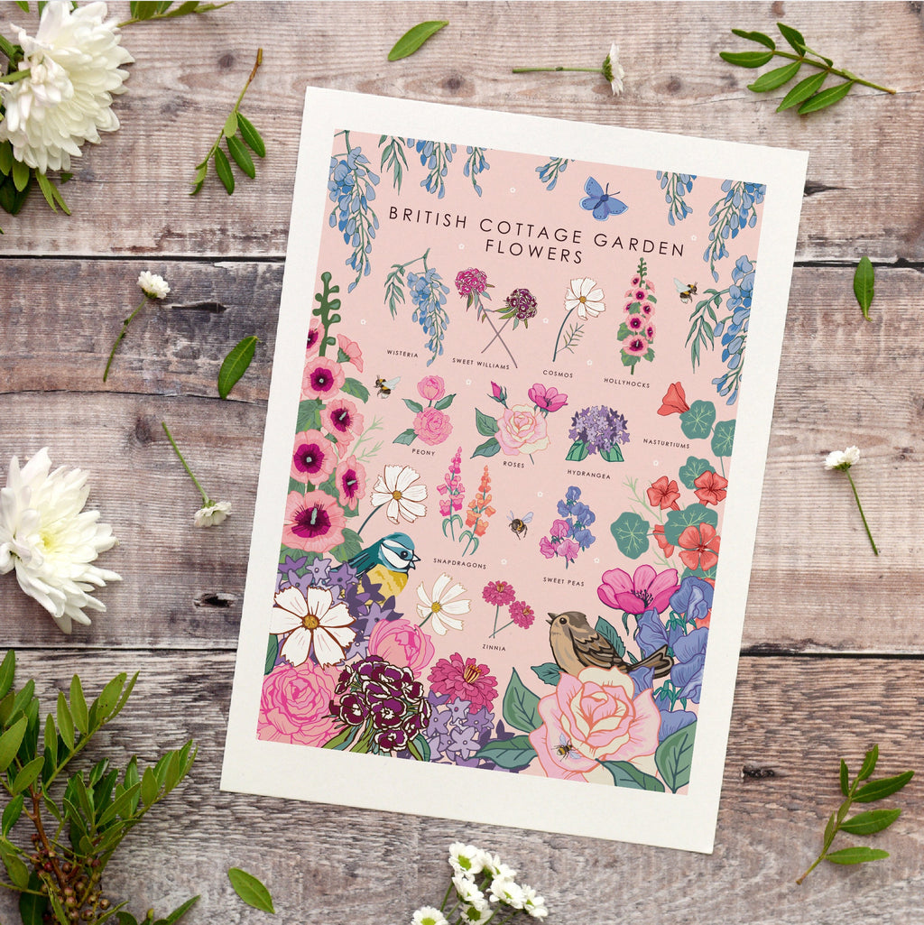 British Cottage Garden Flowers Nature Guide Wall Art Print