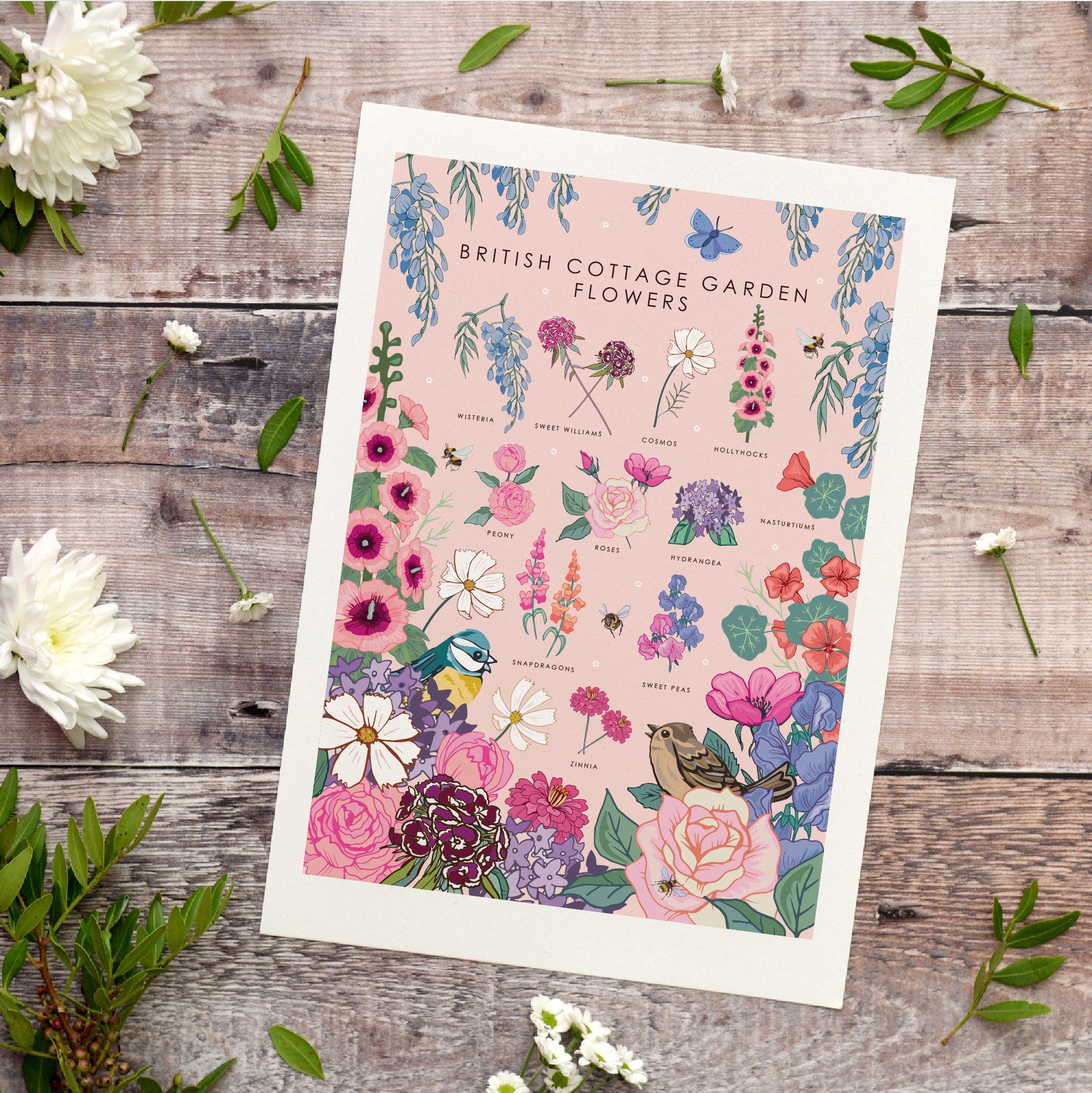British Cottage Garden Flowers Nature Guide Wall Art Print
