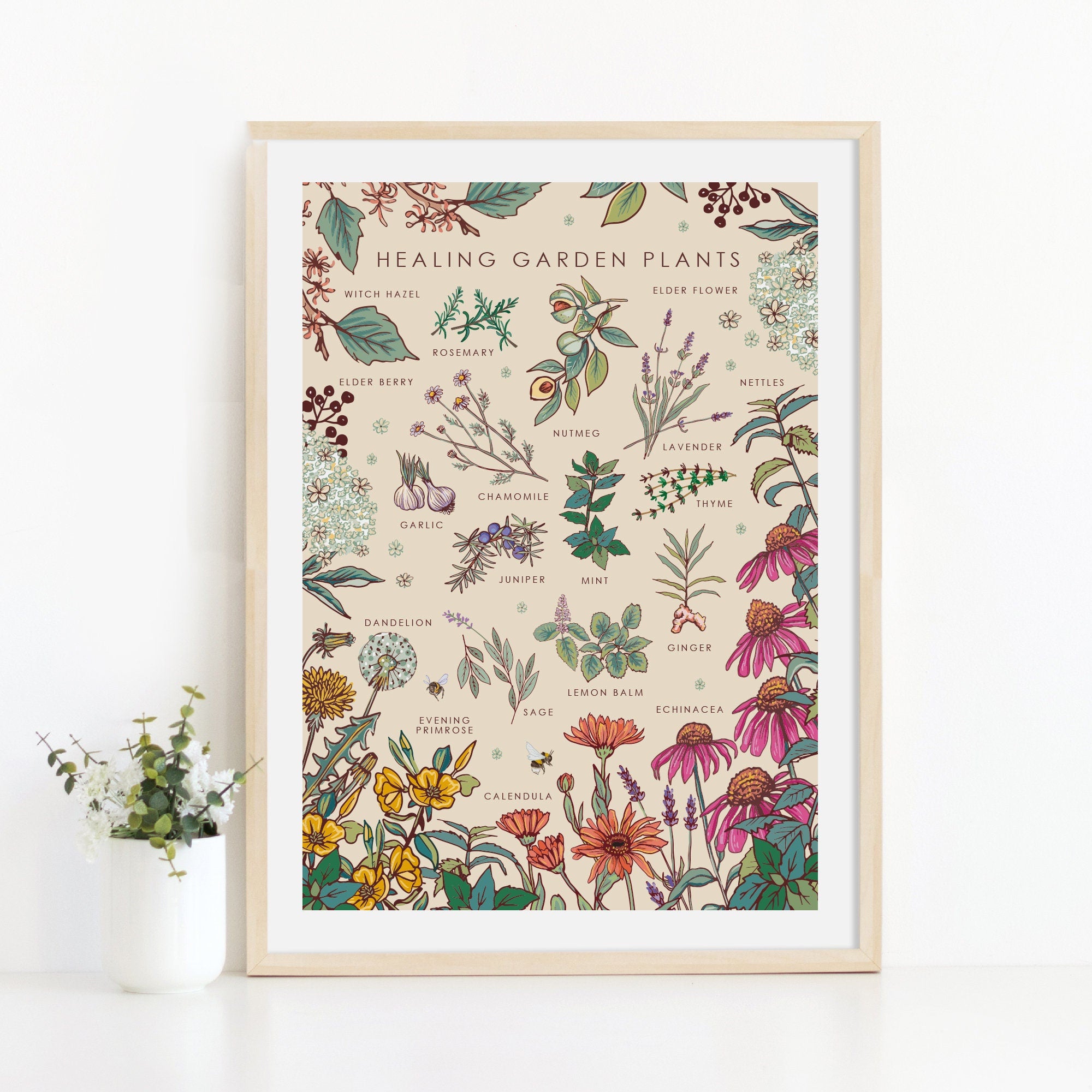 Healing Garden Plants Nature Guide Wall Art Print