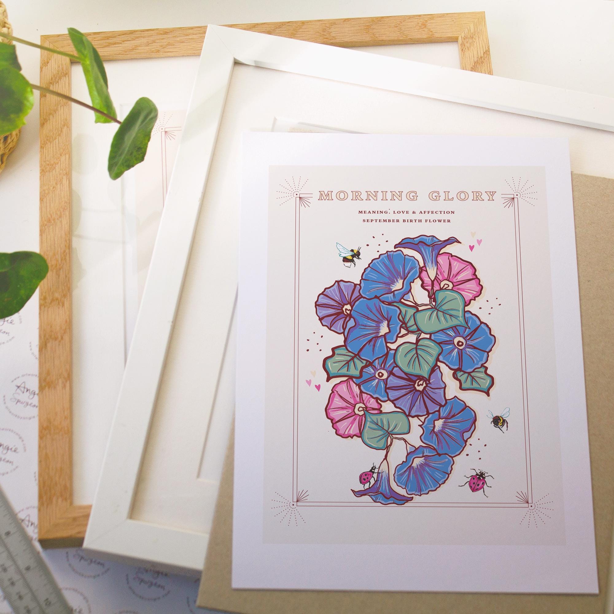 Morning Glory September Birth Flower Wall Art Print