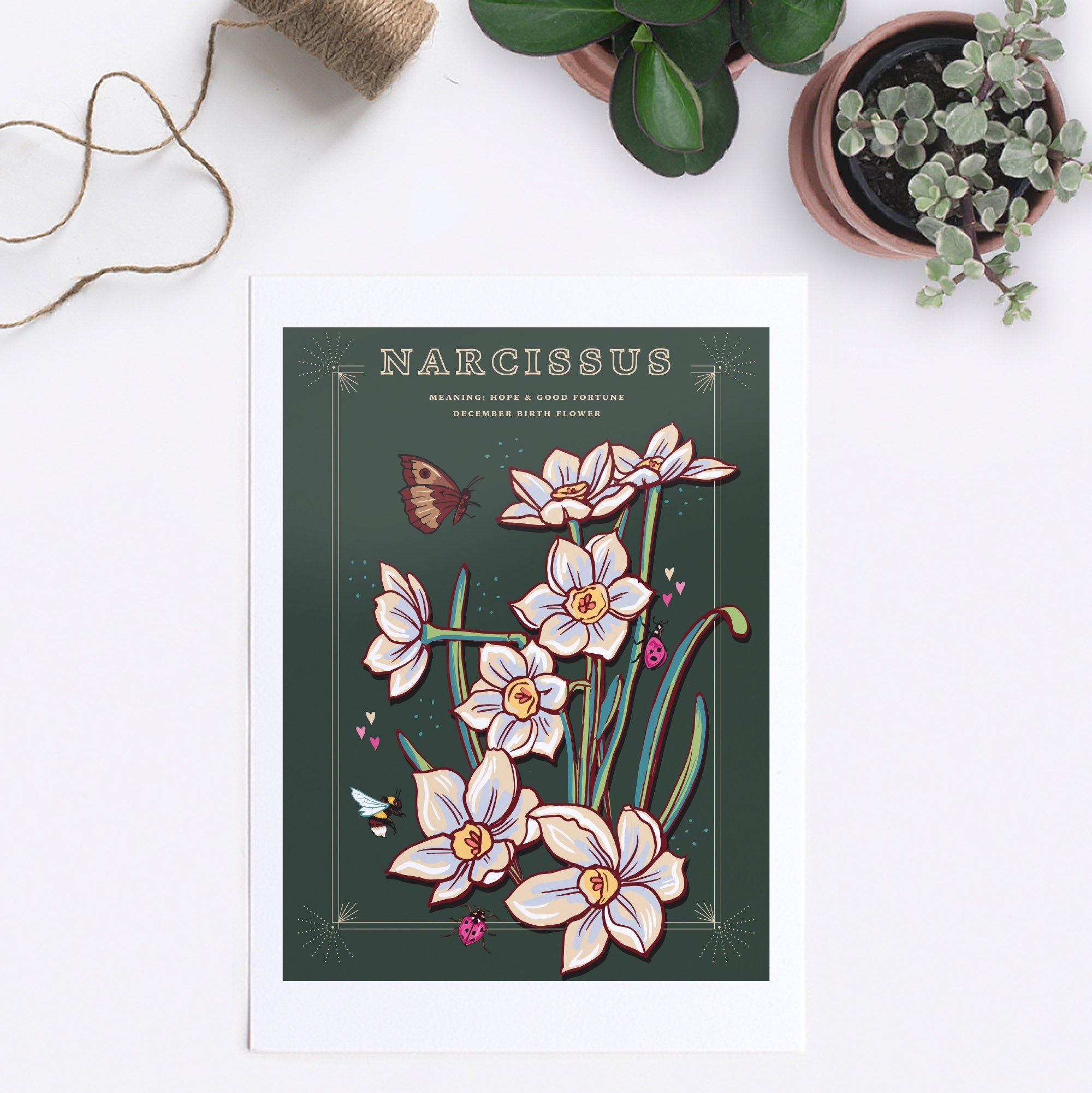 Narcissus December Birth Flower Wall Art Print