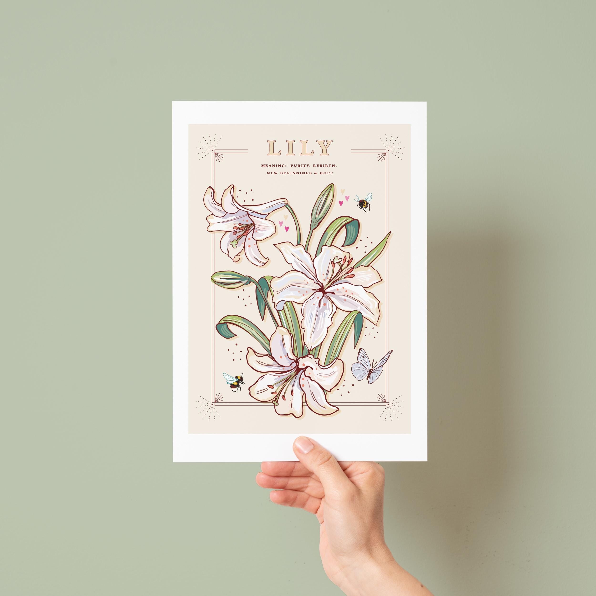 Lily Wall Art Print, Flower Meaning Illustration Print
