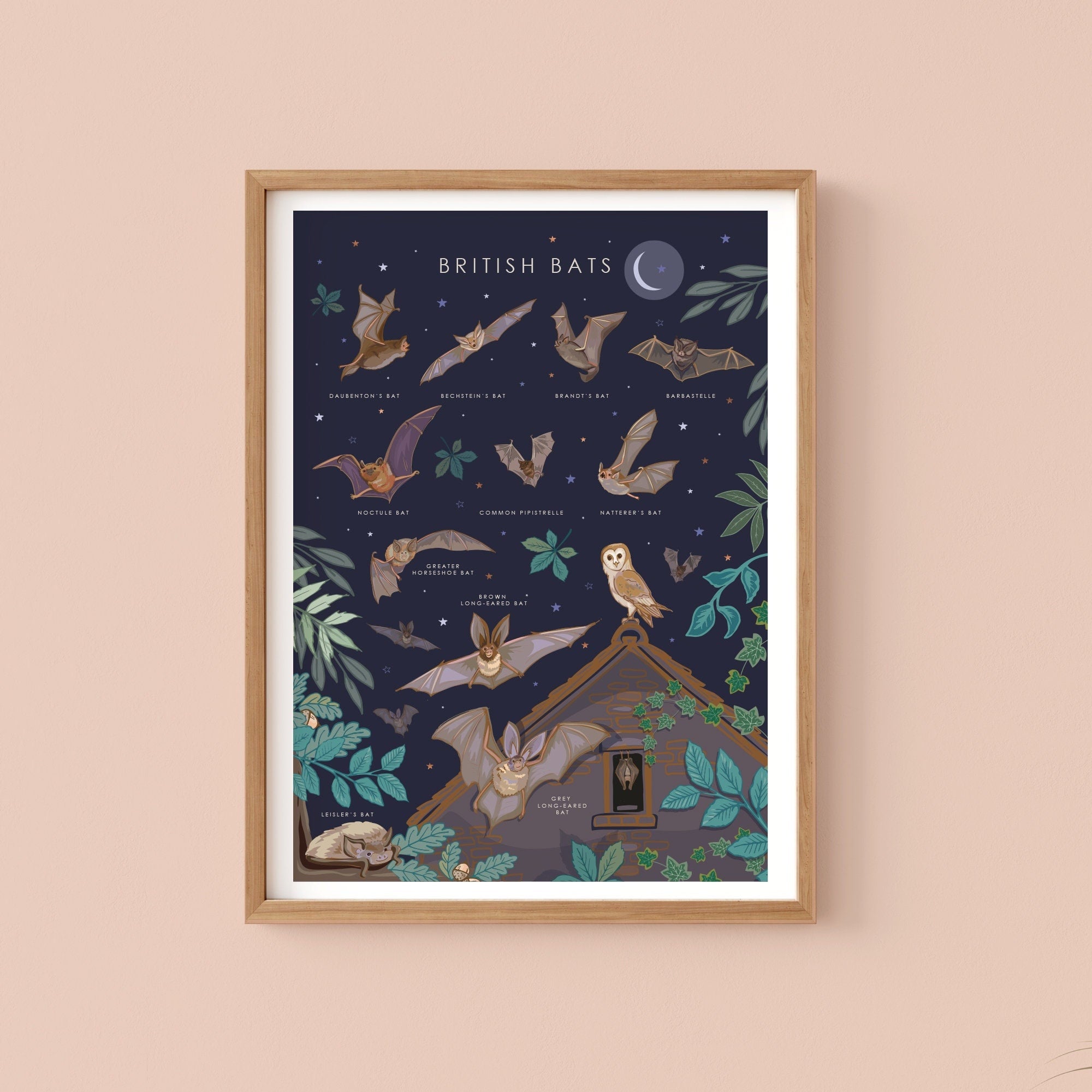 British Bats Nature Guide Wall Art