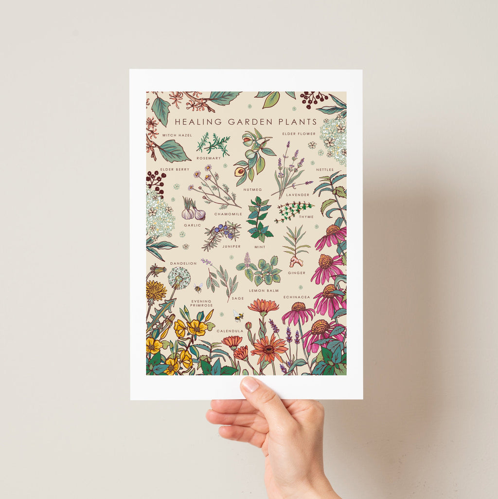 Healing Garden Plants Nature Guide Wall Art Print