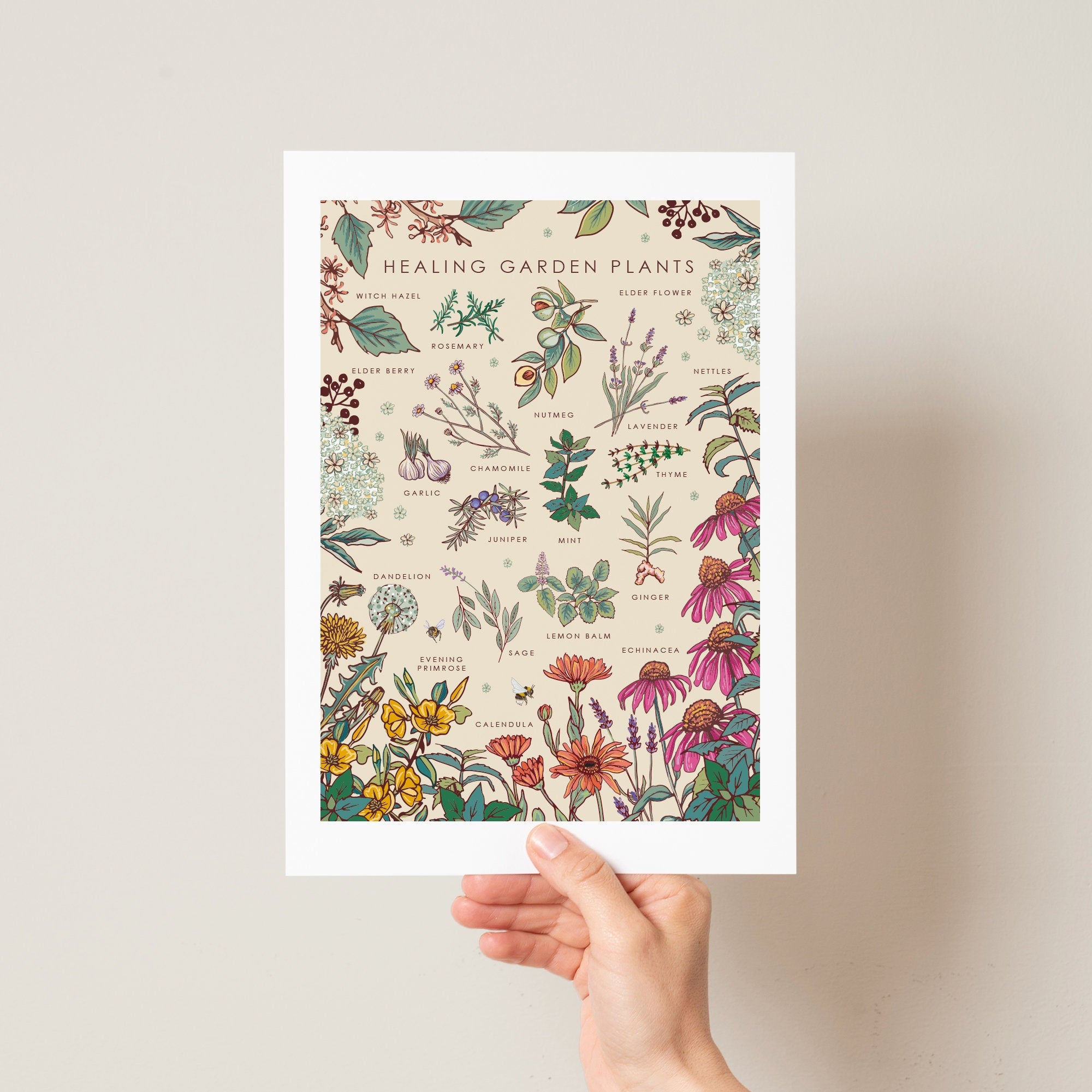 Healing Garden Plants Nature Guide Wall Art Print