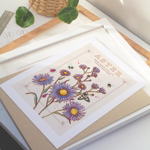 Aster September Birth Flower Wall Art Print