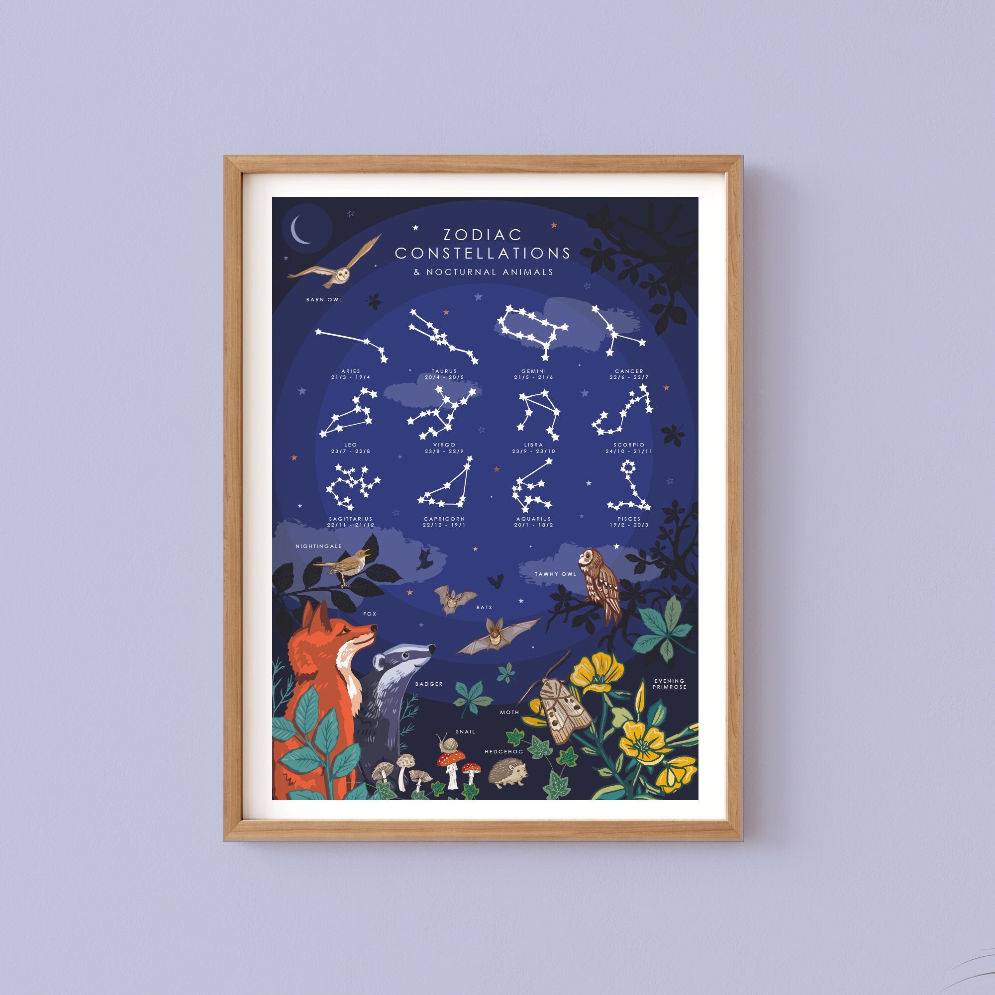 Zodiac Constellations Print and Nocturnal Animals Nature Guide Wall Art Print