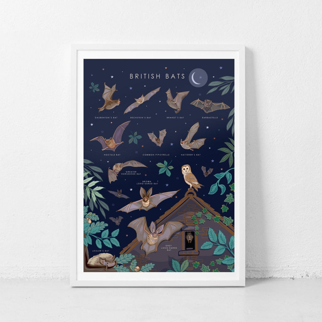 British Bats Nature Guide Wall Art