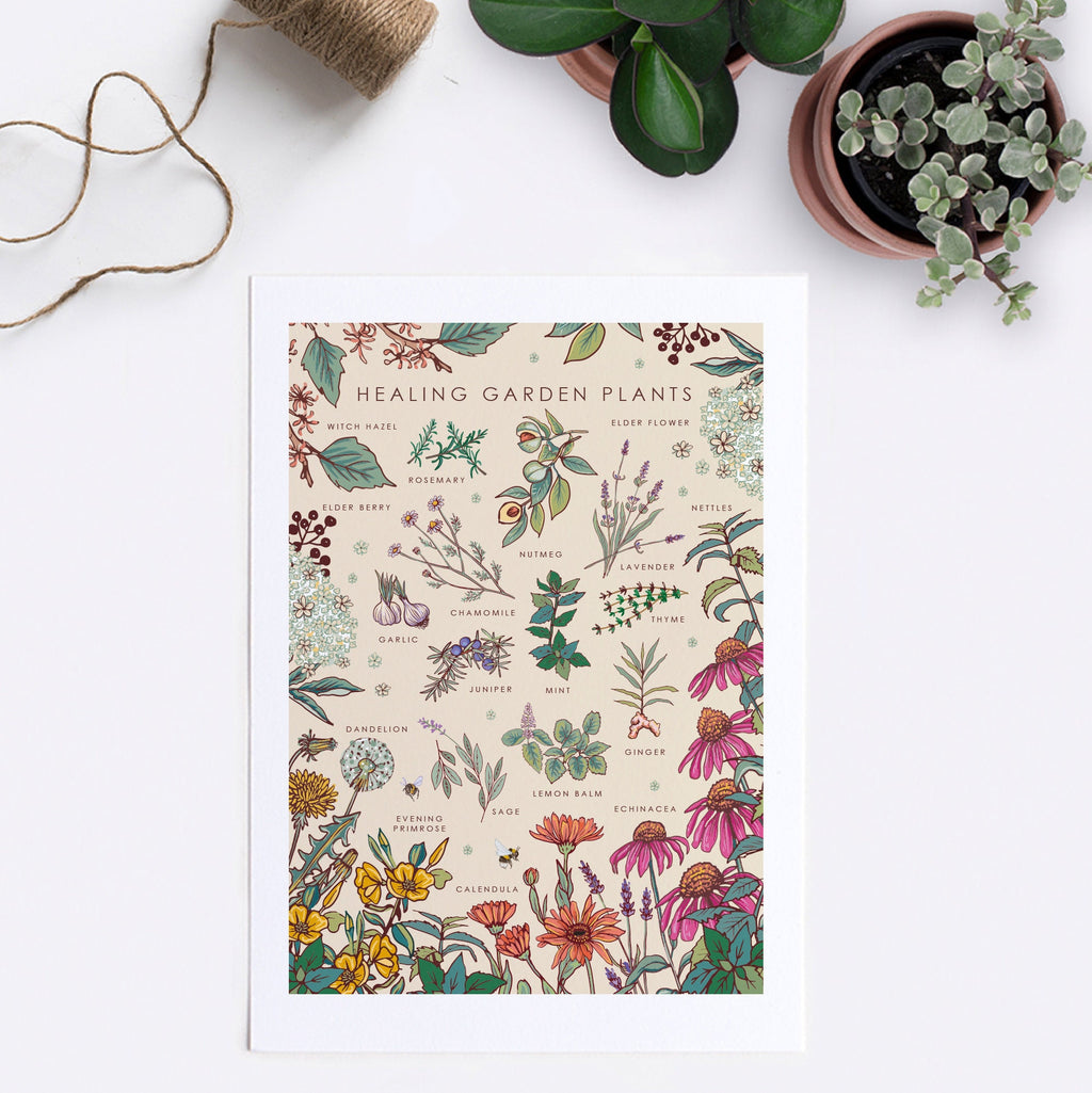 Healing Garden Plants Nature Guide Wall Art Print