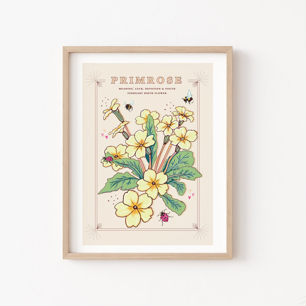 Primrose February Birth Flower Wall Art Print