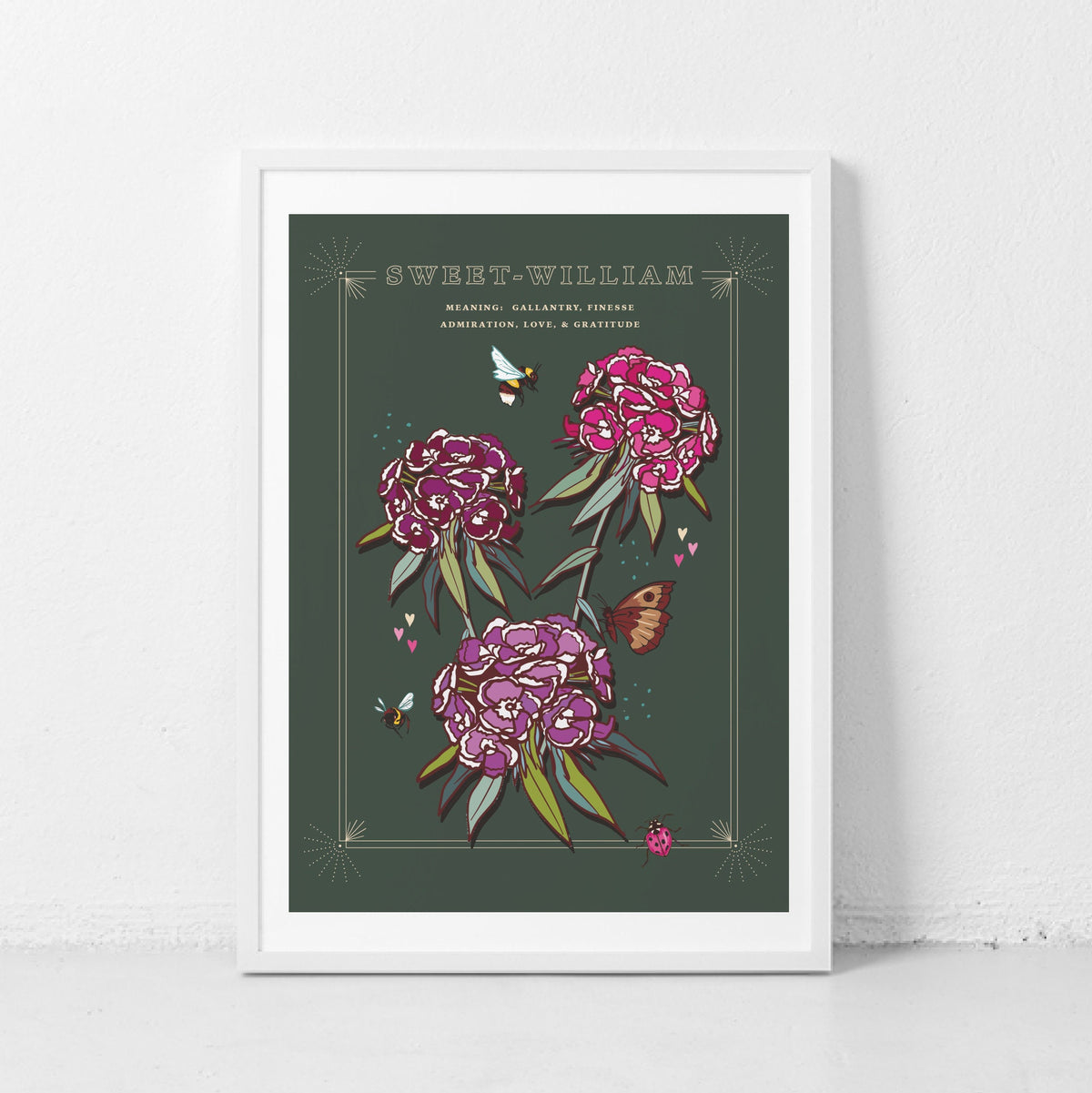 Sweet William Wall Art Print, Flower Meaning Illustration Print