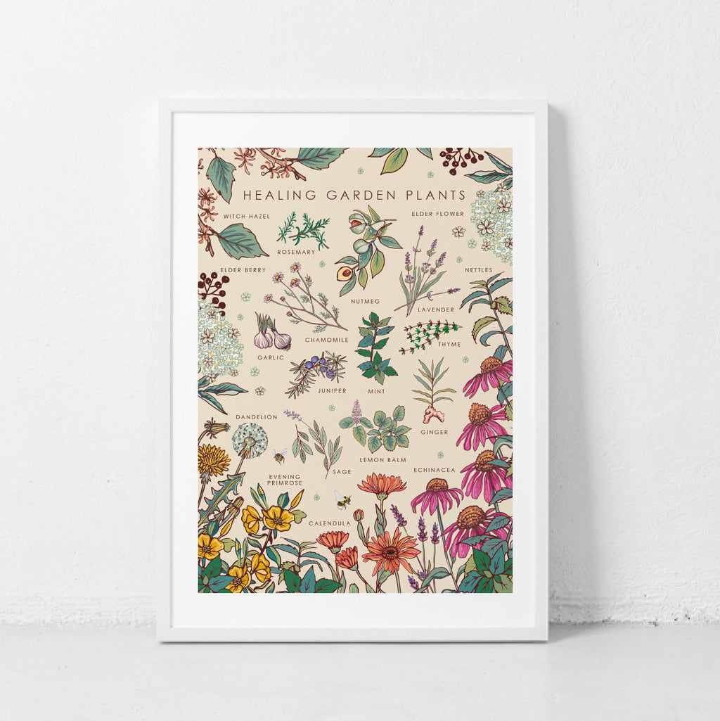 Healing Garden Plants Nature Guide Wall Art Print