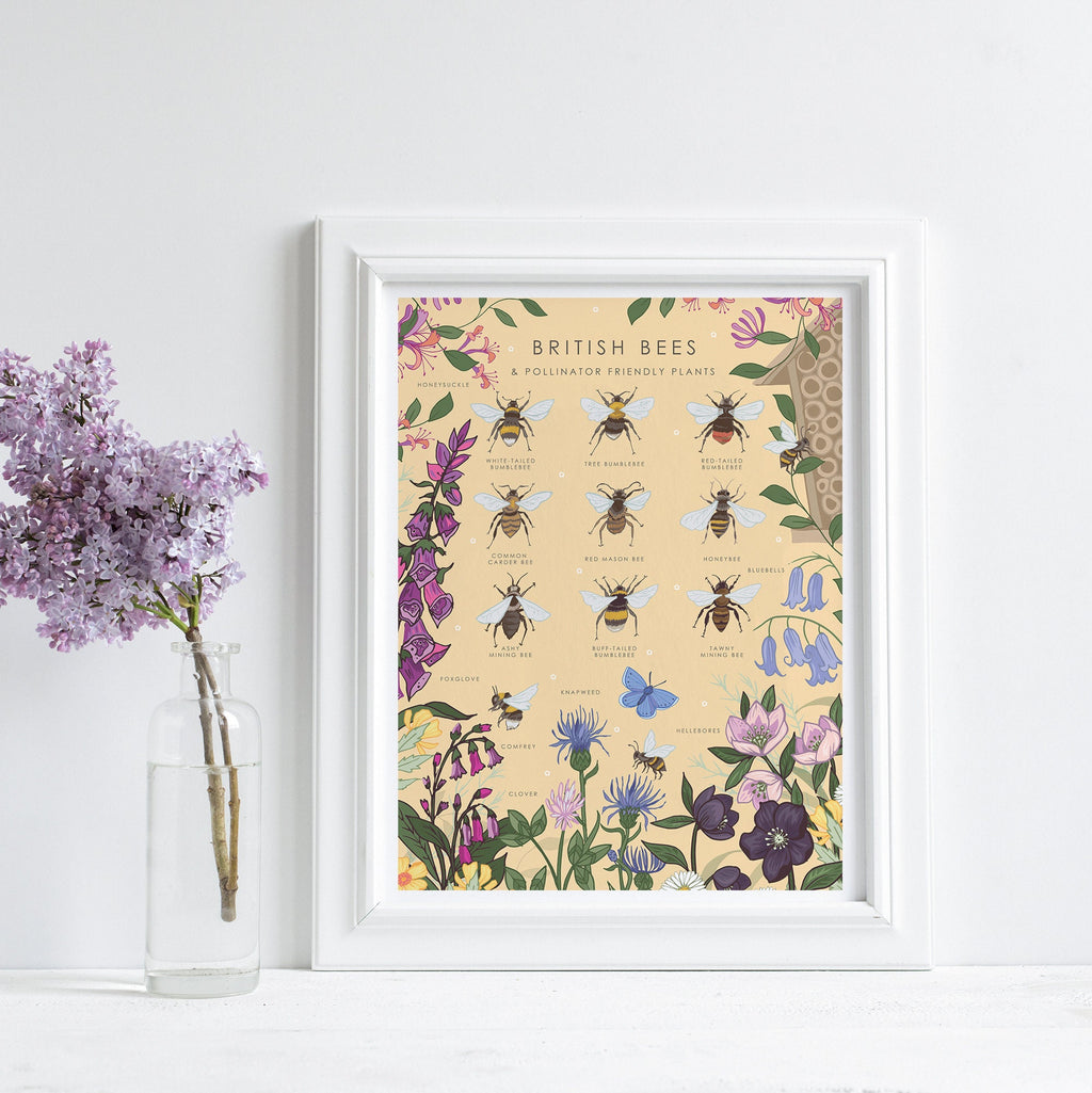 British Bees and Pollinator Friendly Plants Nature Guide Print