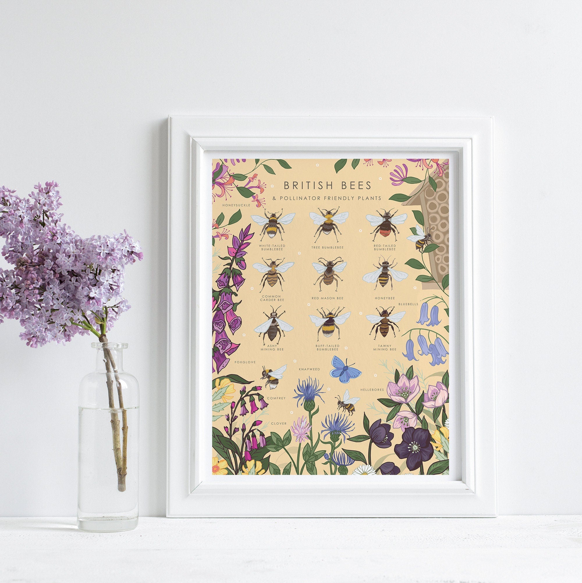 British Bees and Pollinator Friendly Plants Nature Guide Print