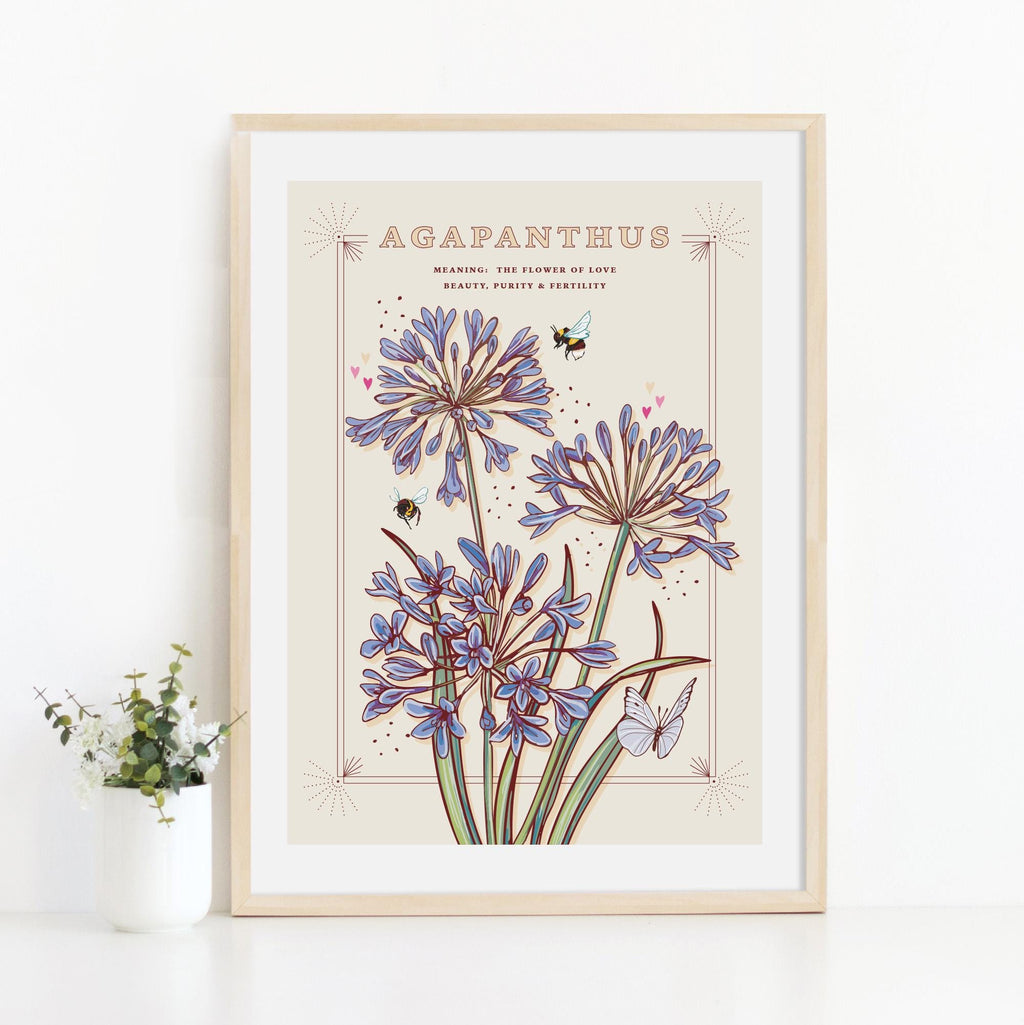 Agapanthus Wall Art Print, Flower Meaning Illustration Print