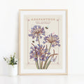 Agapanthus Wall Art Print, Flower Meaning Illustration Print