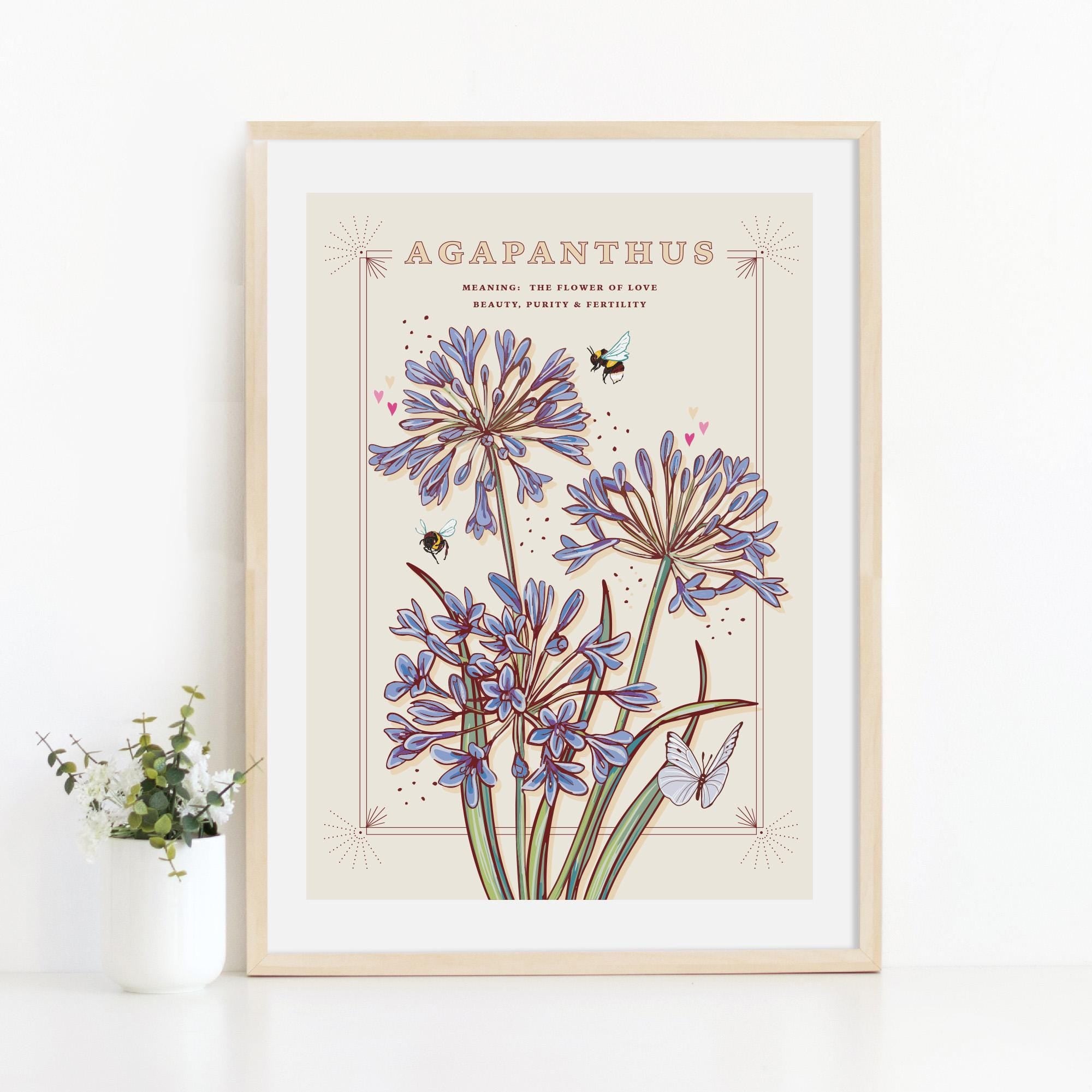 Agapanthus Wall Art Print, Flower Meaning Illustration Print