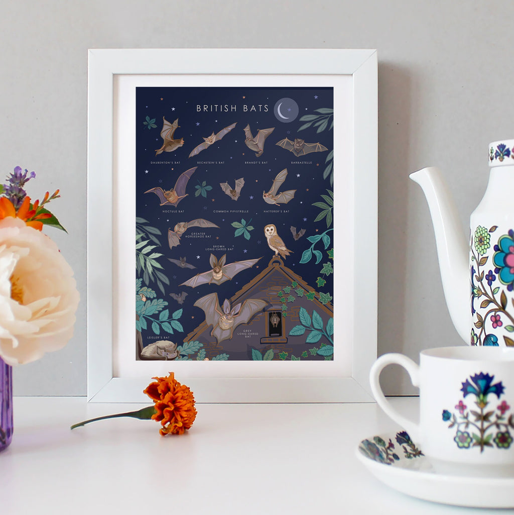 British Bats Nature Guide Wall Art