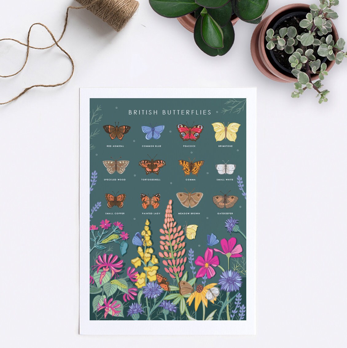 British Butterflies Nature Guide Wall Art Print