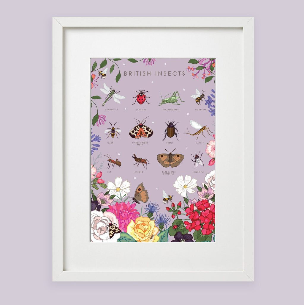 British Insects Nature Guide Wall Art Print