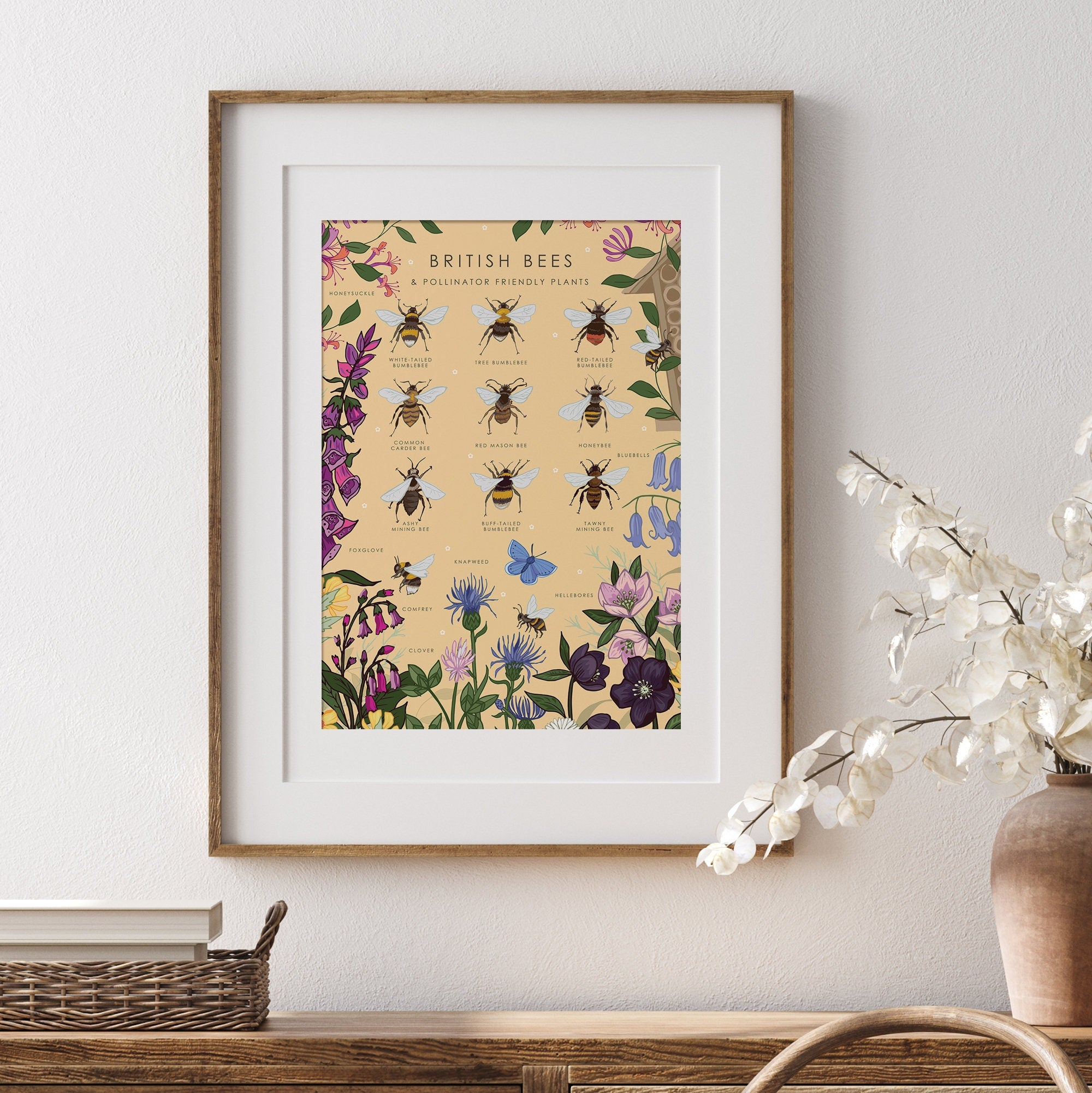 British Bees and Pollinator Friendly Plants Nature Guide Print