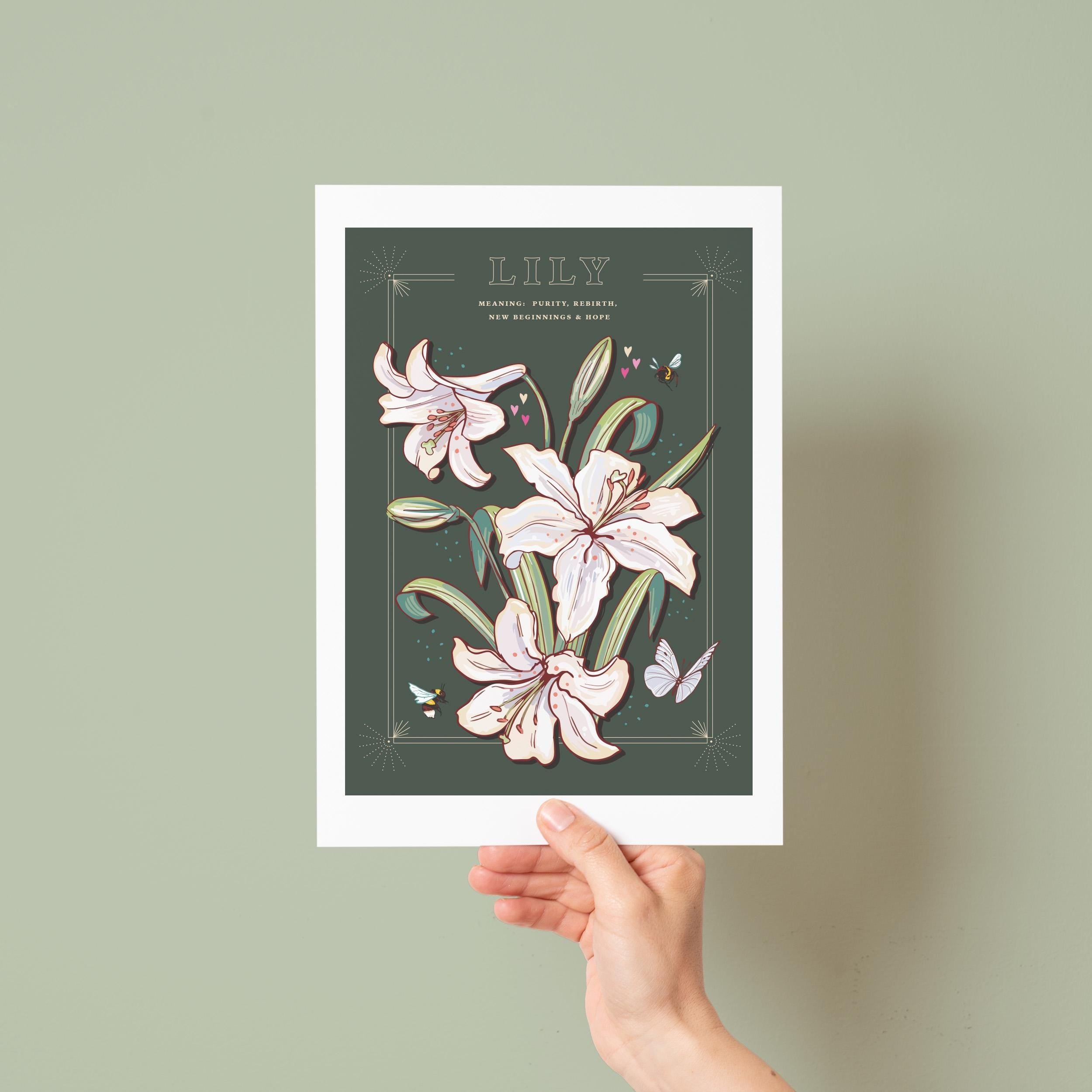 Lily Wall Art Print, Flower Meaning Illustration Print