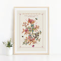Honeysuckle June Birth Flower Wall Art Print