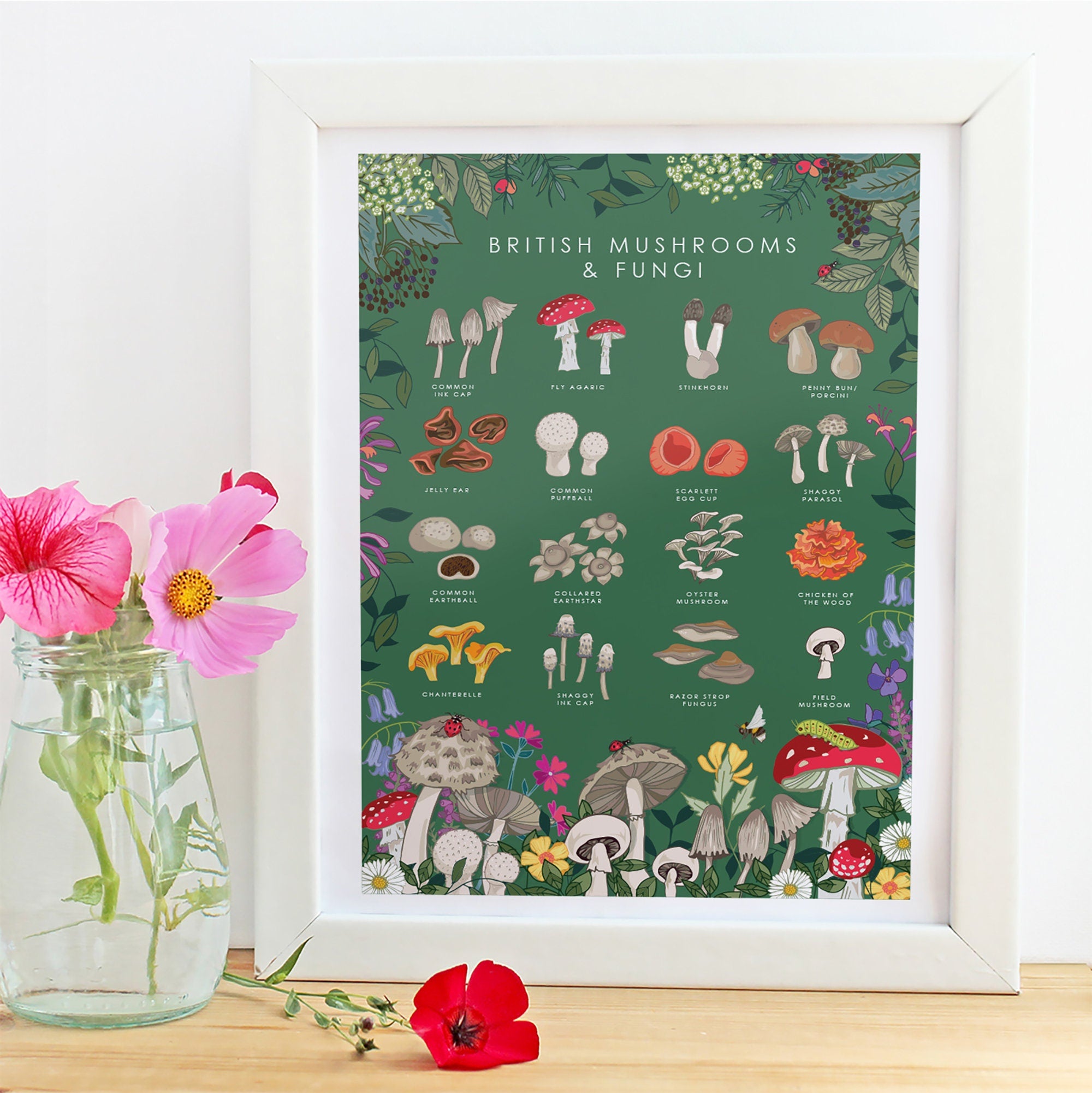 British Mushrooms and Fungi Nature Guide Wall Art Print