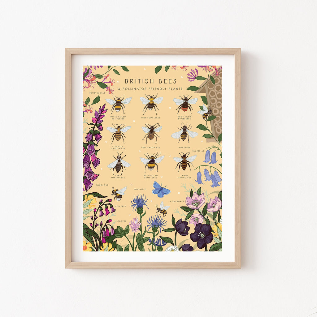 British Bees and Pollinator Friendly Plants Nature Guide Print