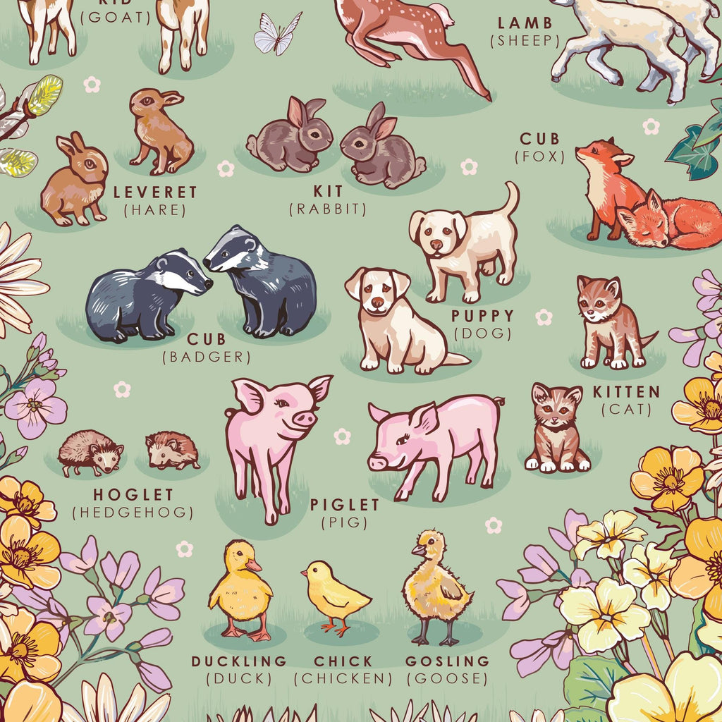 Baby Animals Nature Guide Wall Art Print