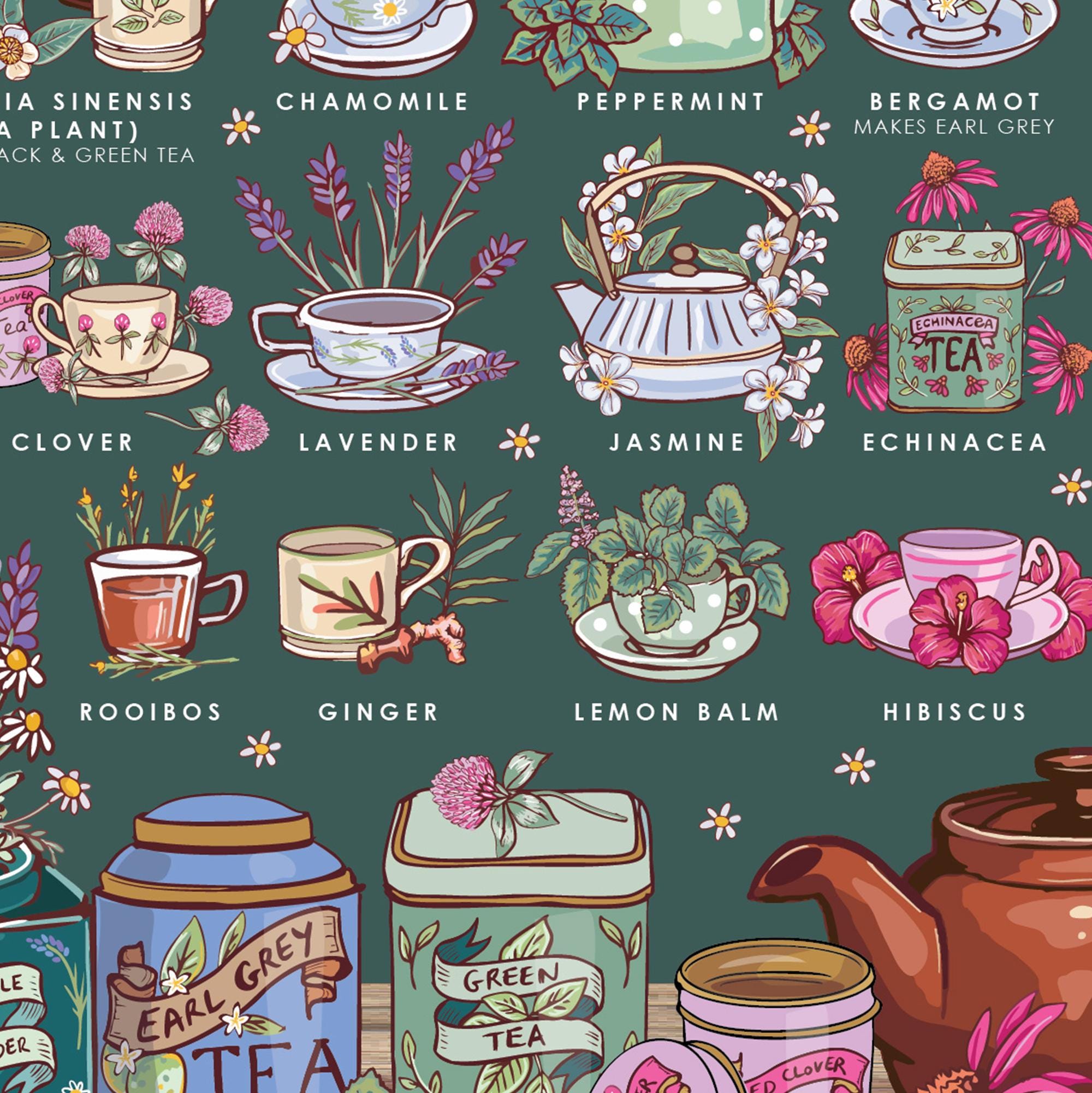 Tea Plants Nature Guide Wall Art Print