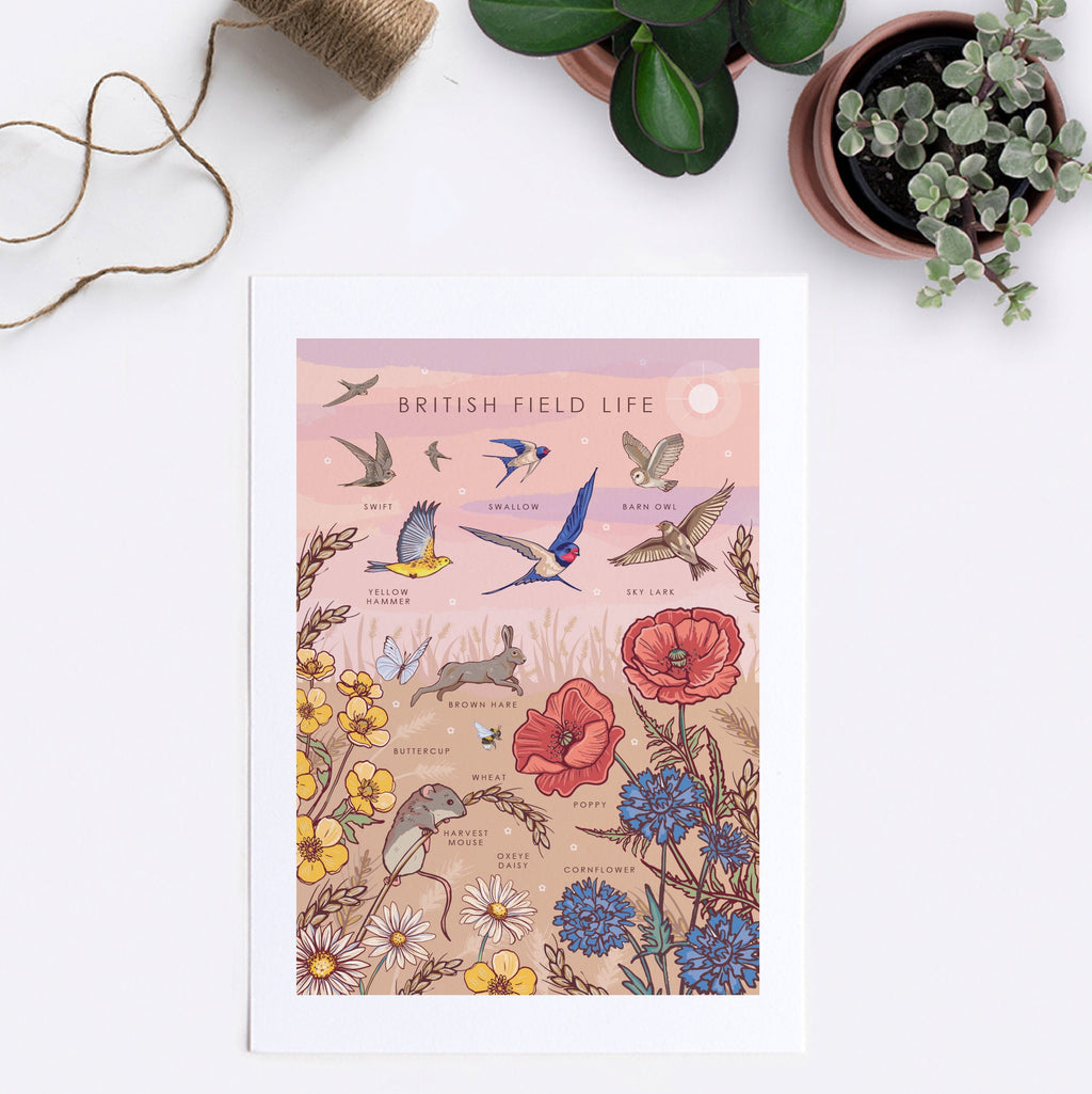 British Field Life Nature Guide Wall Art Print