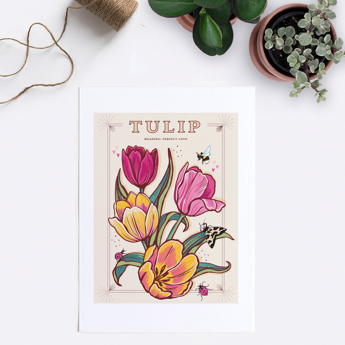 Tulip Wall Art Print, Meaning of Flowers Vintage Seed Packet Style Illustration Print