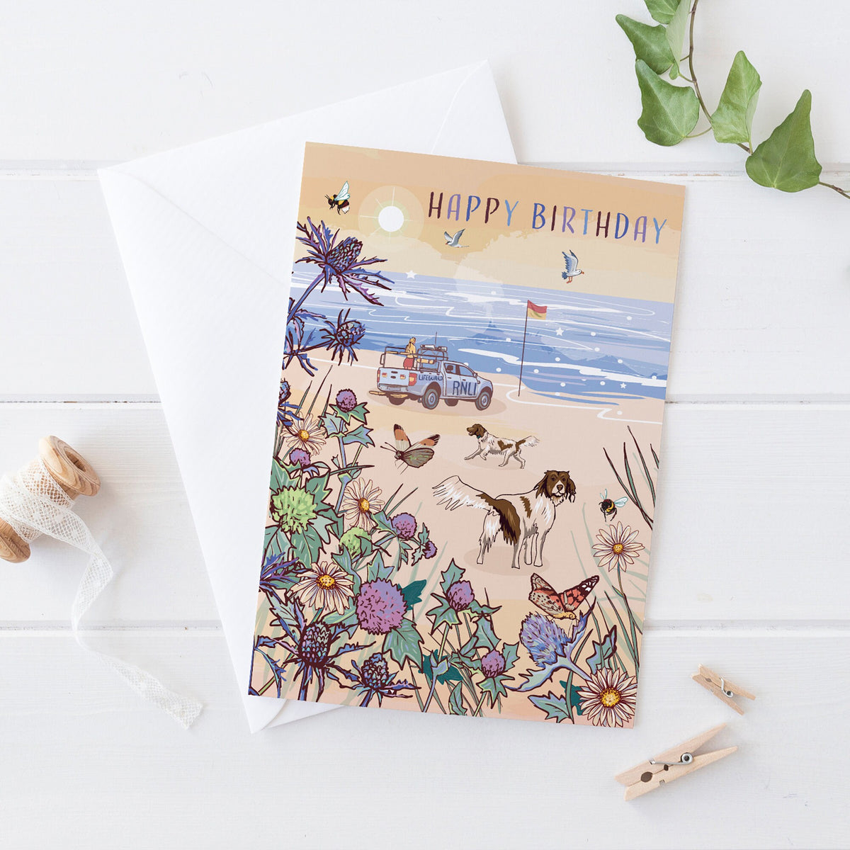Coastal Bird Birthday Cards - Seaside Set of 3