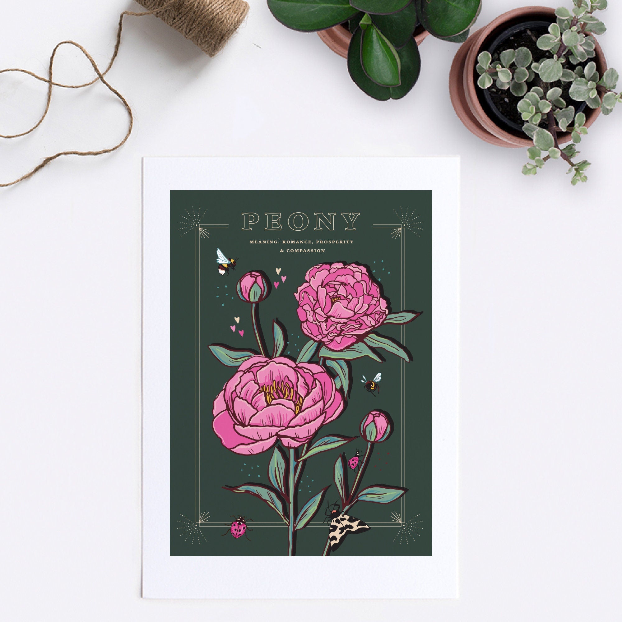 Peony November Birth Flower Wall Art Print