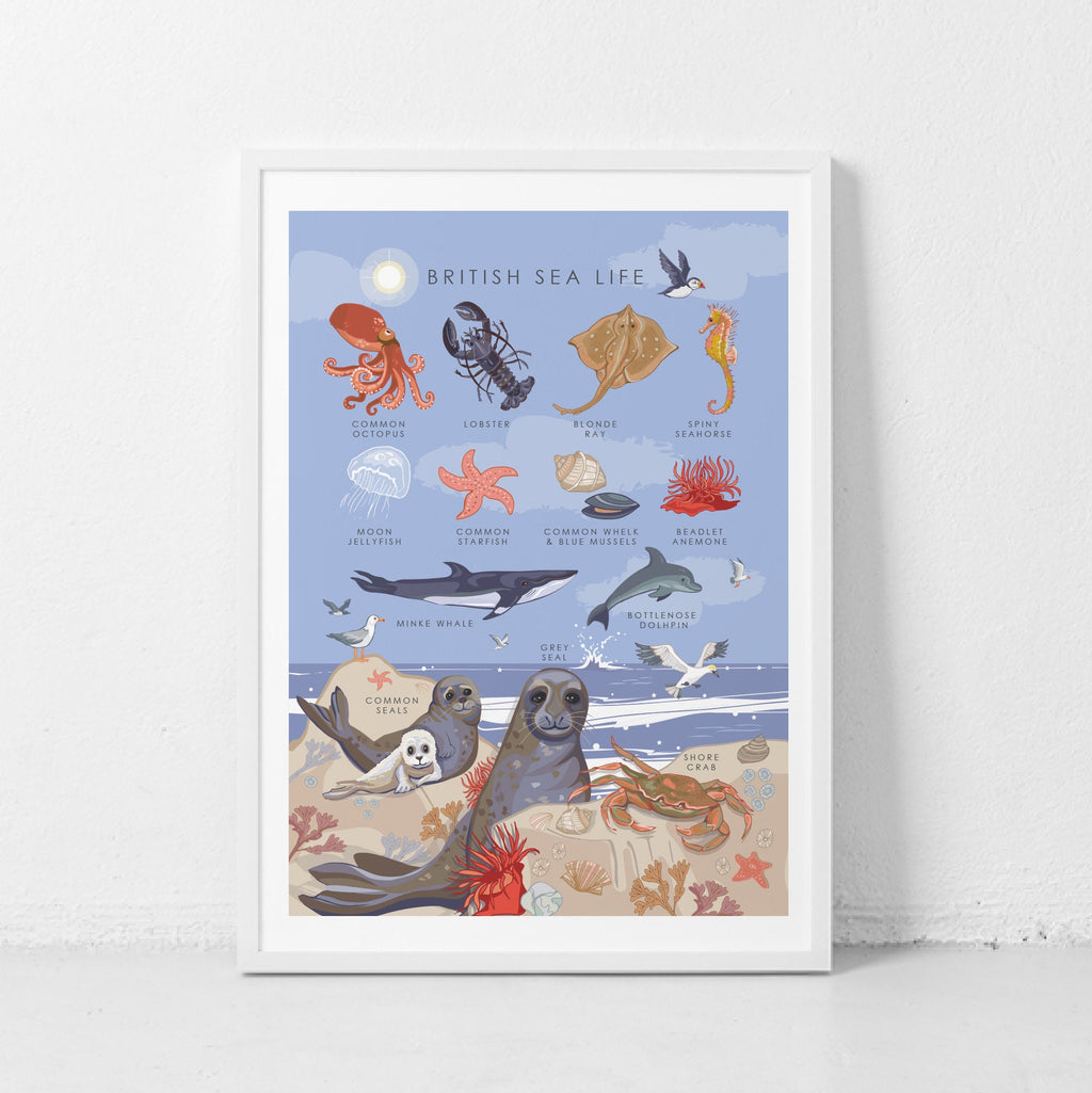British Sea Life Nature Guide Wall Art