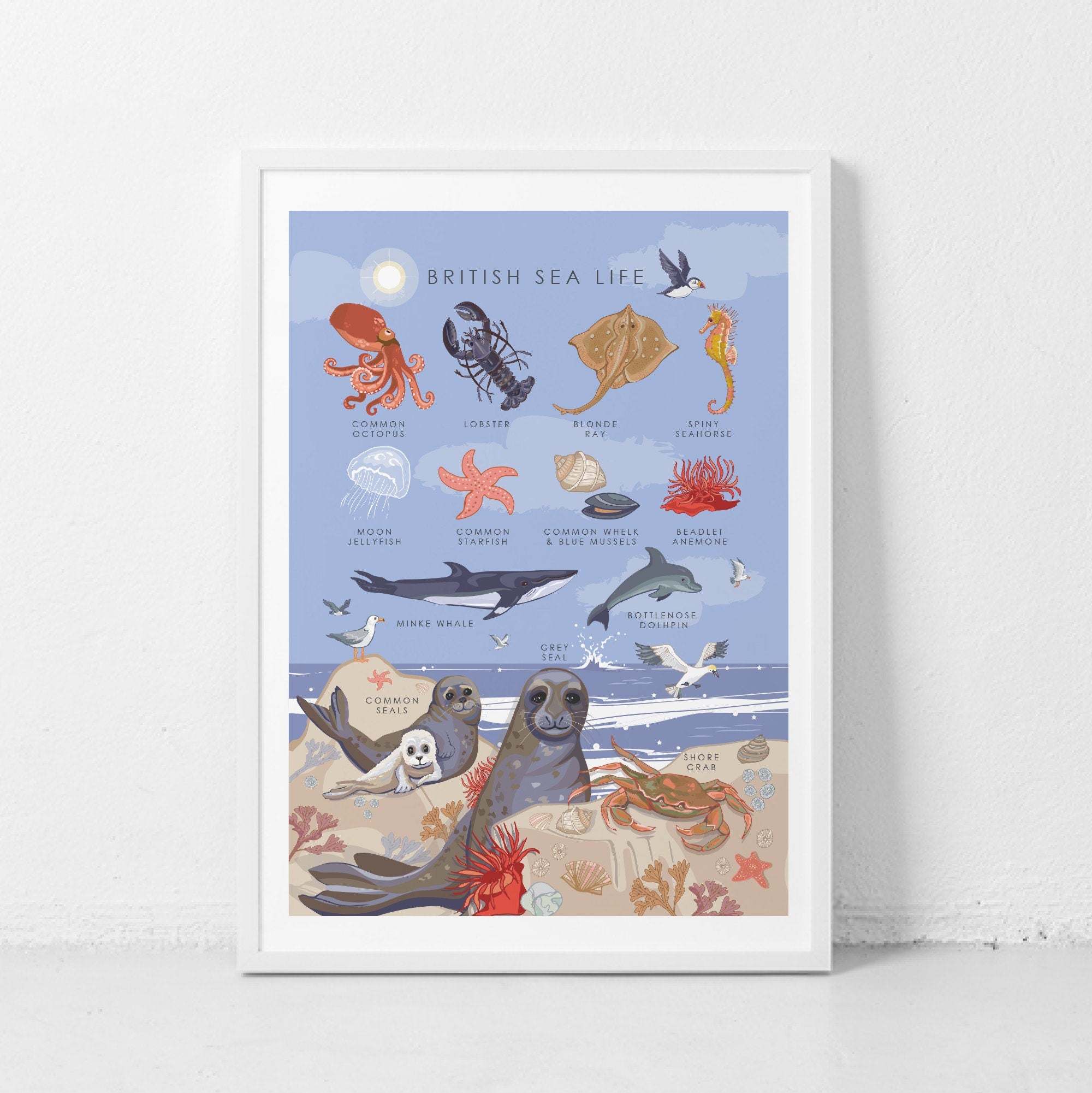 British Sea Life Nature Guide Wall Art