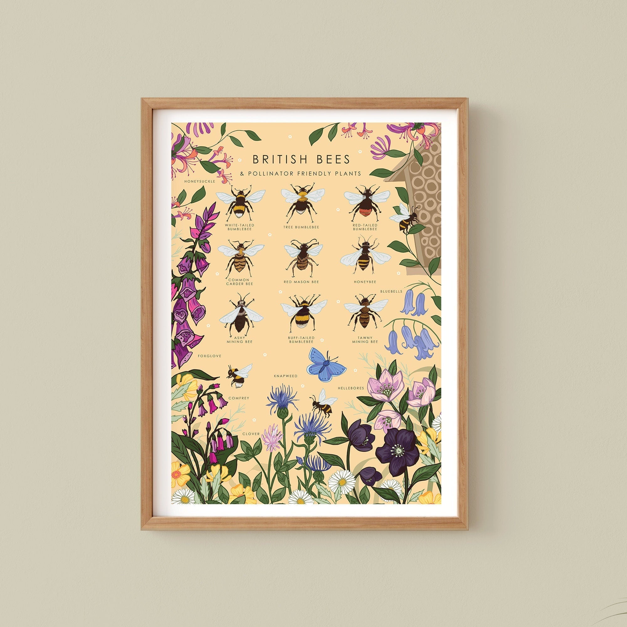 British Bees and Pollinator Friendly Plants Nature Guide Print
