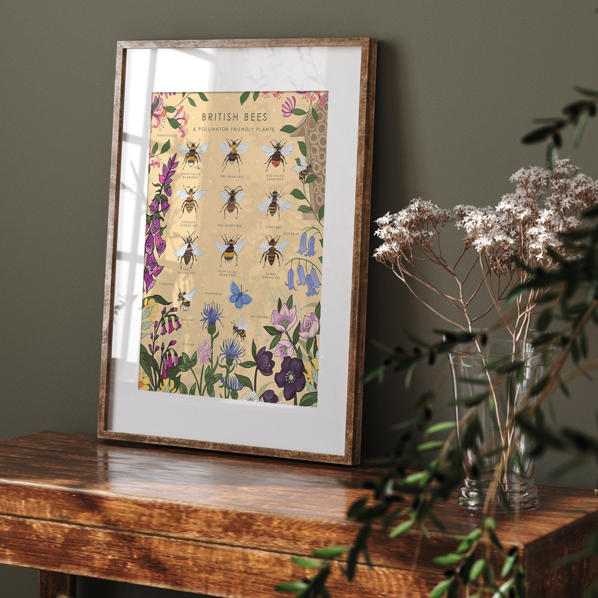 British Bees and Pollinator Friendly Plants Nature Guide Print